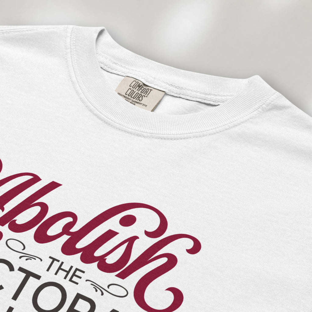 Closeup detail of white t-shirt with stylized text reading “Abolish the Electoral College” in muted red and gray.