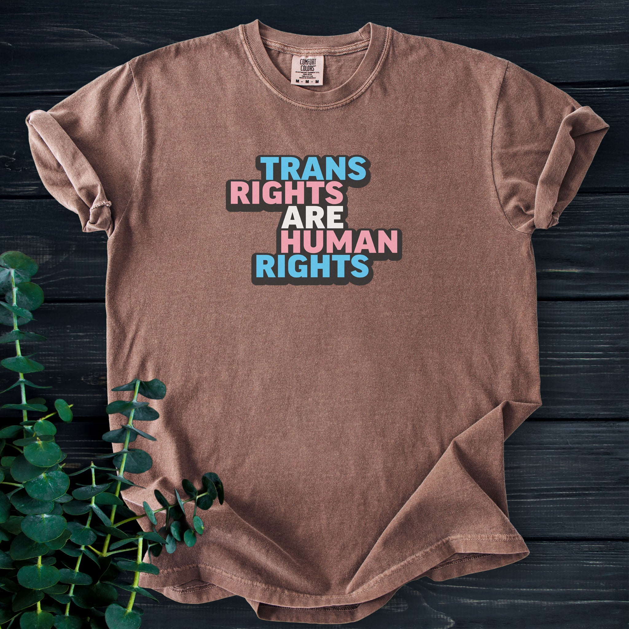 Espresso brown t-shirt with graphic that reads "trans rights are human rights" in the light blue, pink, and white colors of the trans flag, with a black shadow outlining the text.