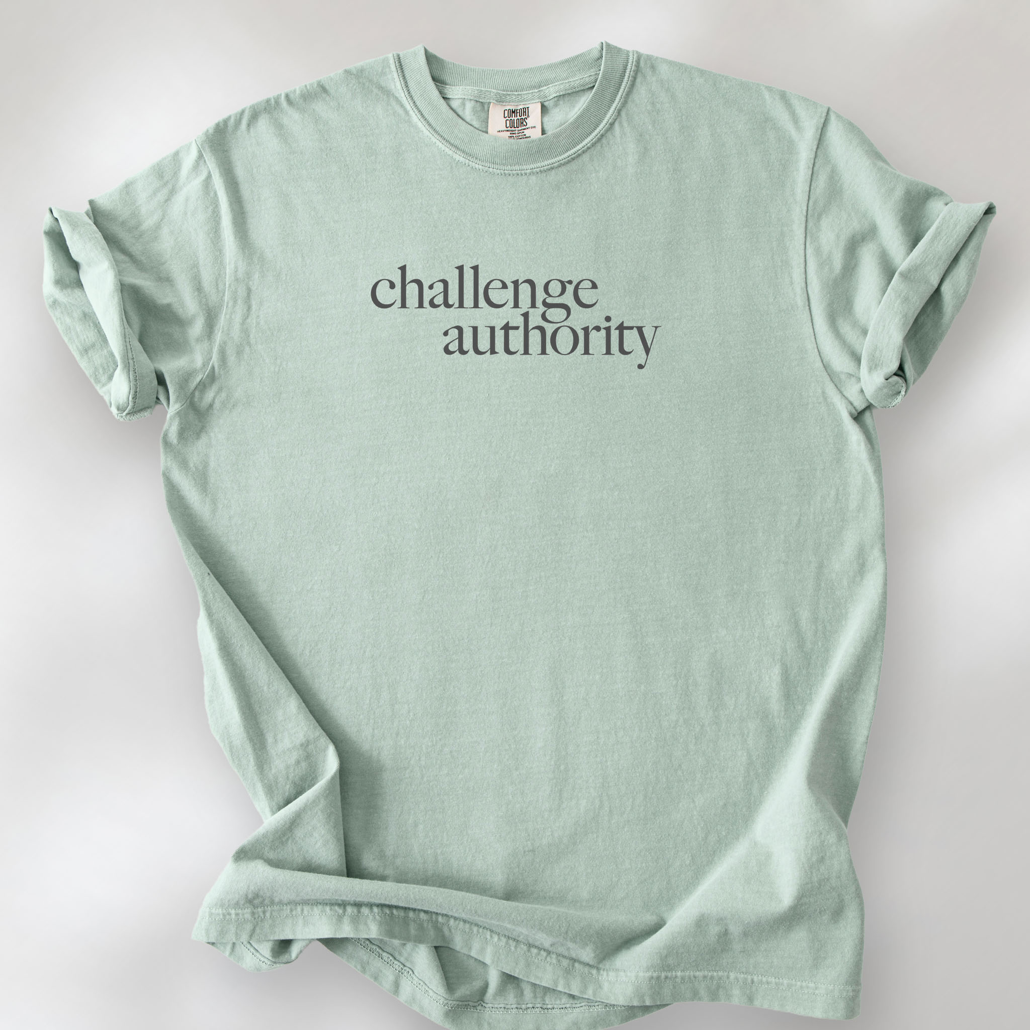 Bay t-shirt with minimalist serif text block reading “challenge authority."