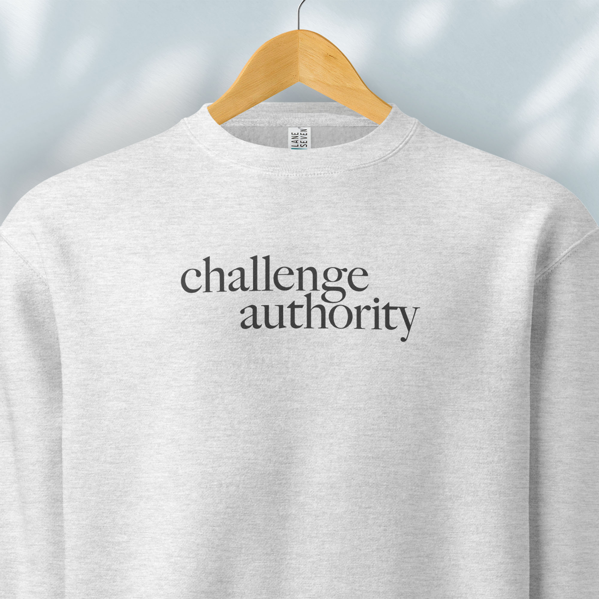 Hanging grey sweatshirt with minimalist serif text block reading “challenge authority."