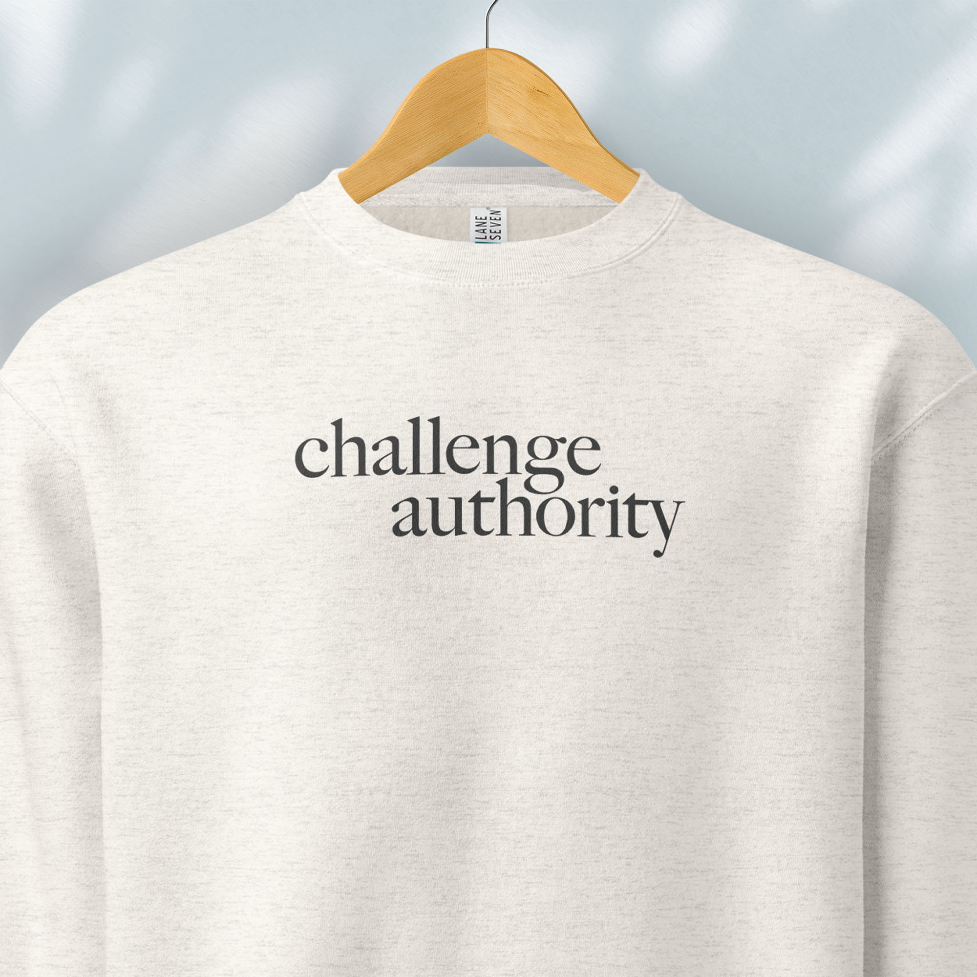 Hanging oatmeal sweatshirt with minimalist serif text block reading “challenge authority."