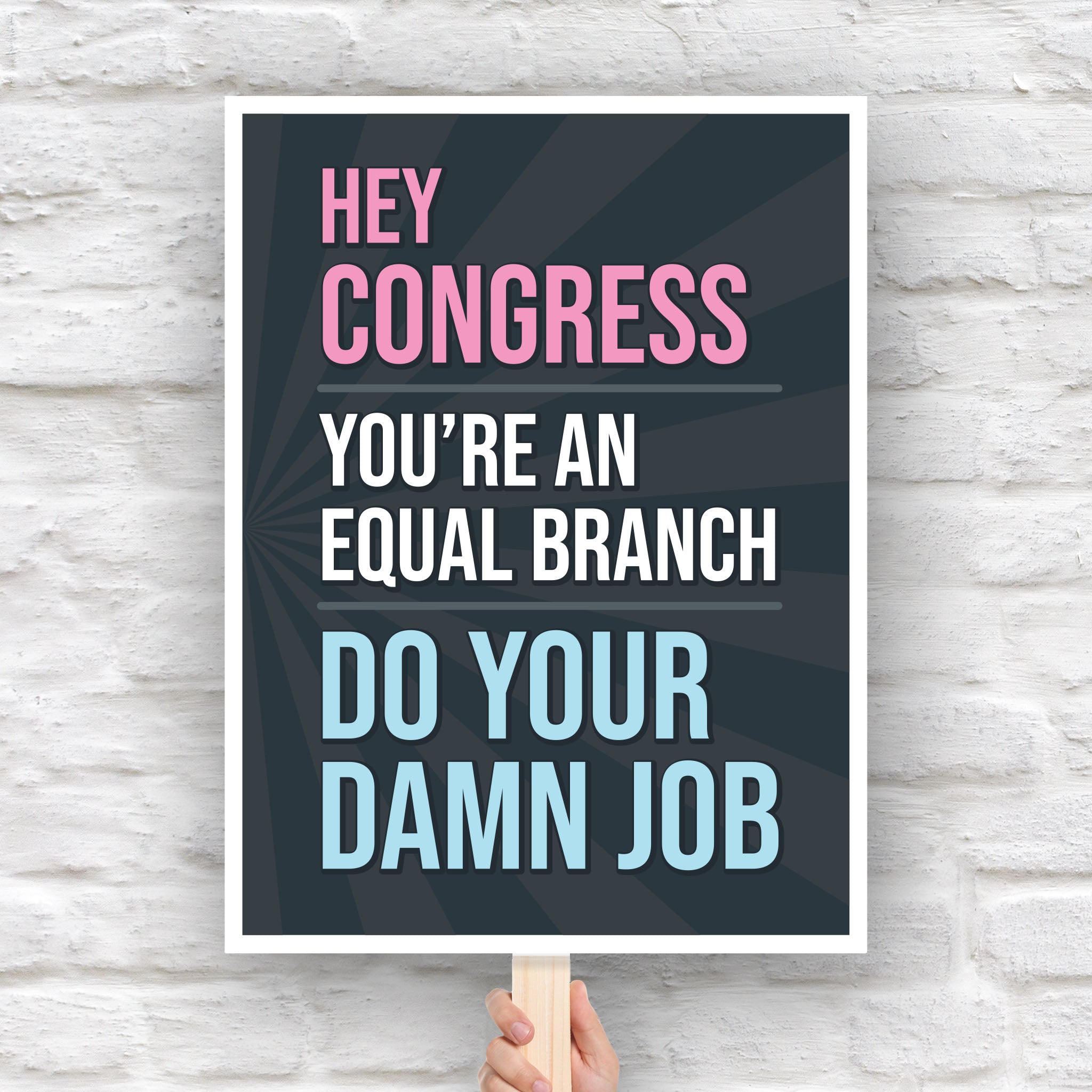 Protest sign with bold text that says “Hey Congress, you’re an equal branch, do your damn job” calling out Congress for not standing up to Trump’s abuses of power.