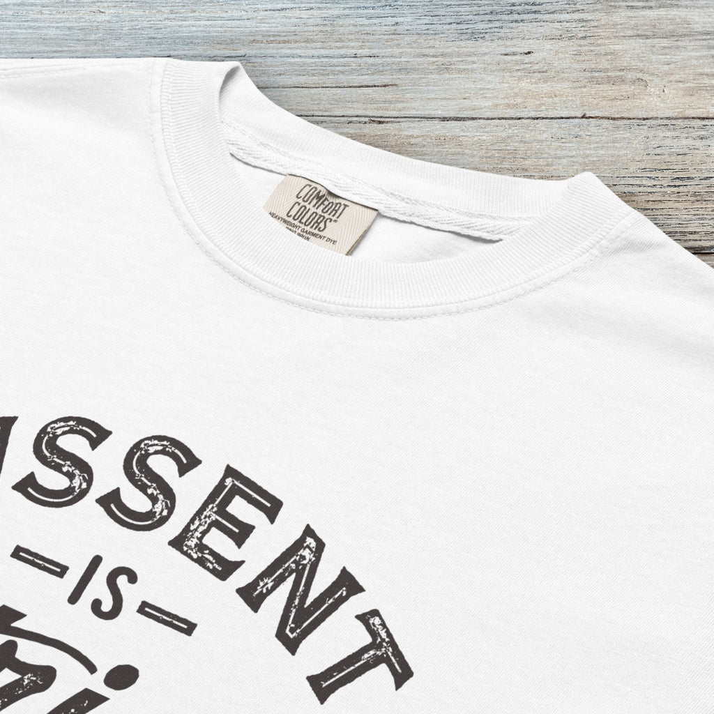 Closeup detail of white vintage design style shirt reading "Dissent Is Patriotic — Power To The People" in distressed typography.
