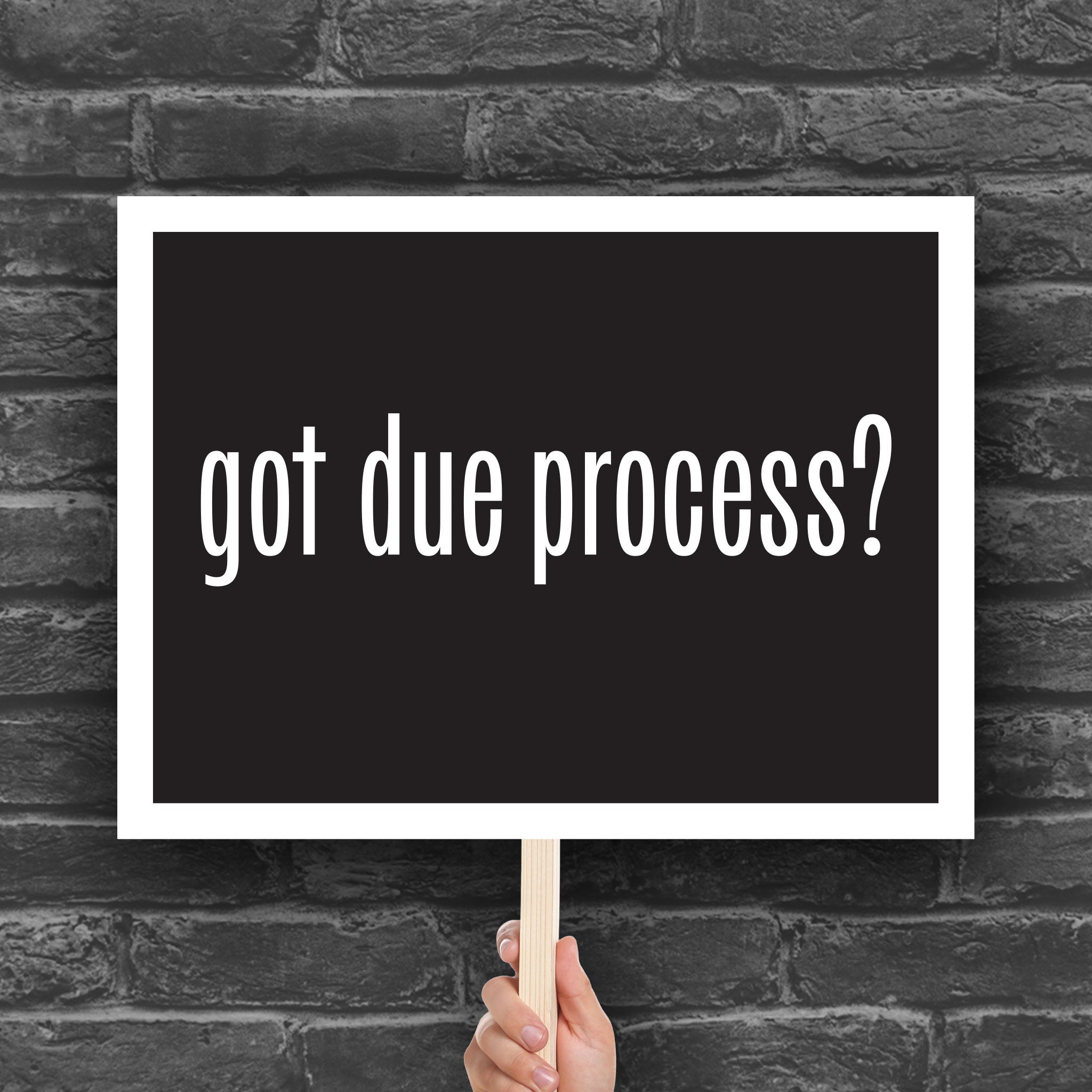 Got Due Process? protest sign