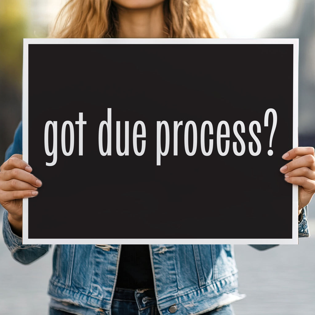 Person holding protest sign with black background and bold white text that says “got due process?” in the style of the “got milk?” campaign.