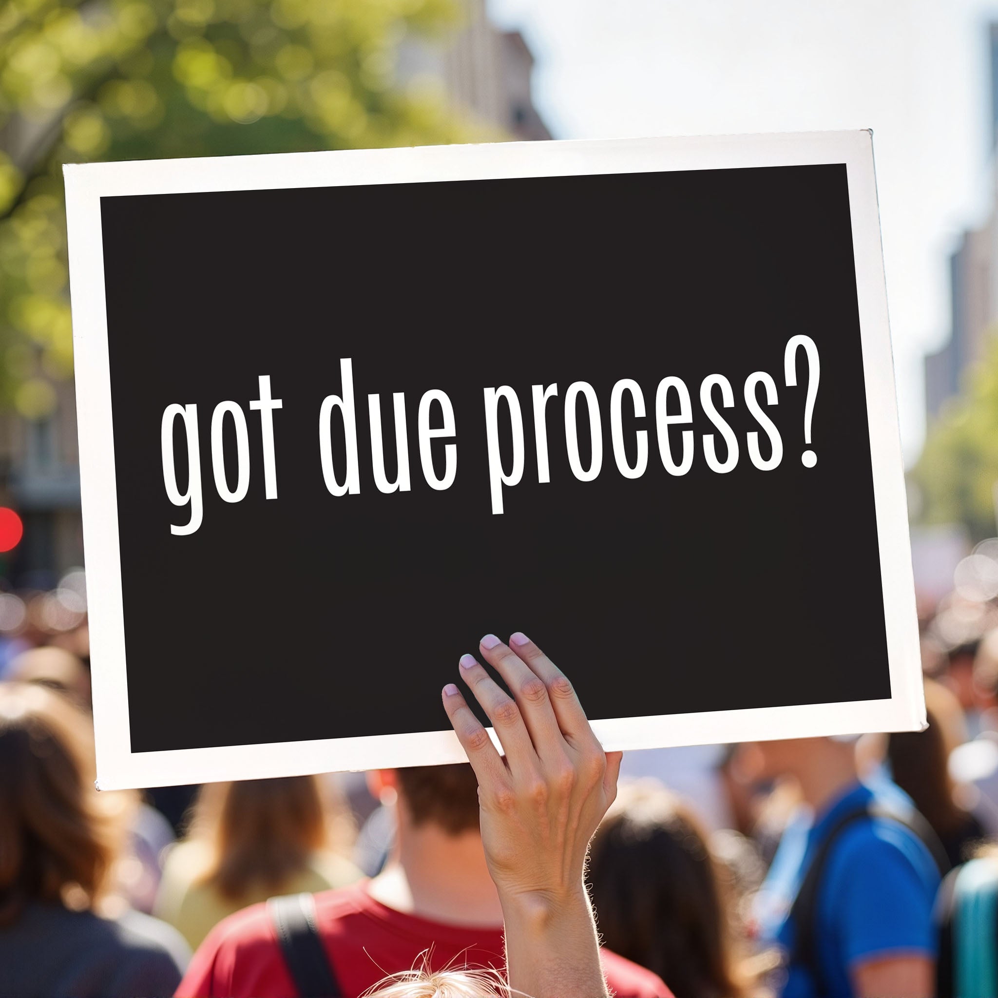 Got Due Process? protest sign