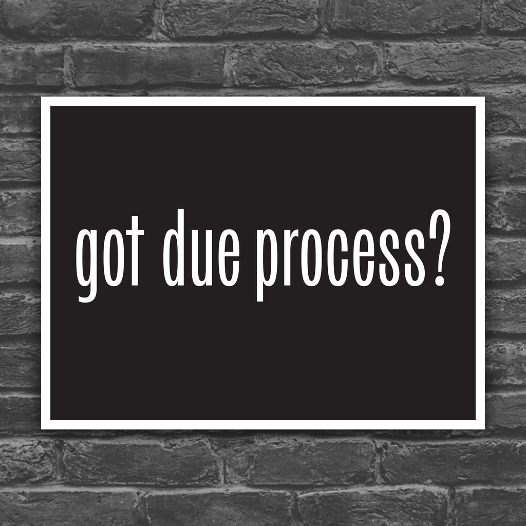 Version of protest sign with black background and bold white text that says “got due process?” in the style of the “got milk?” campaign.