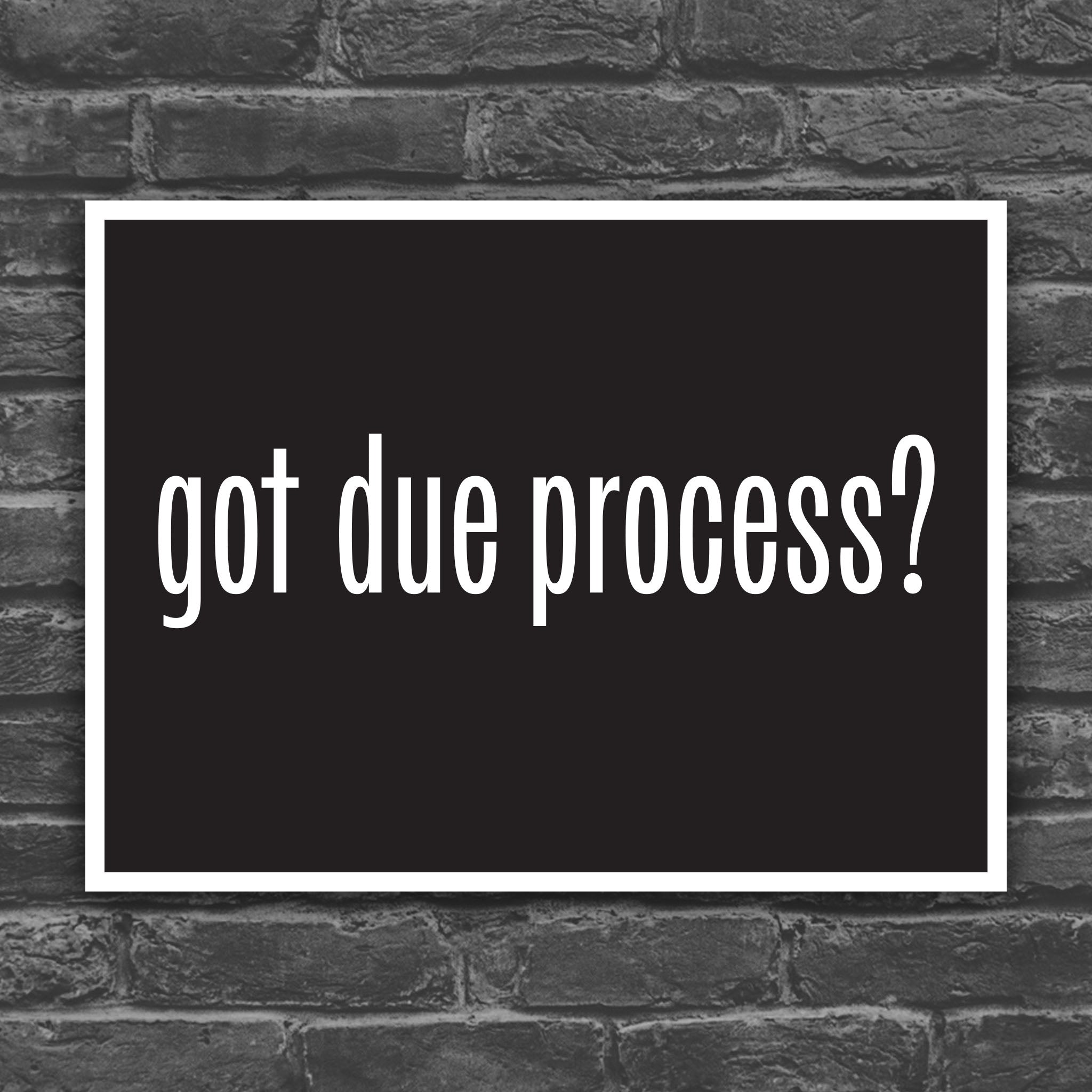 Version of protest sign with black background and bold white text that says “got due process?” in the style of the “got milk?” campaign.