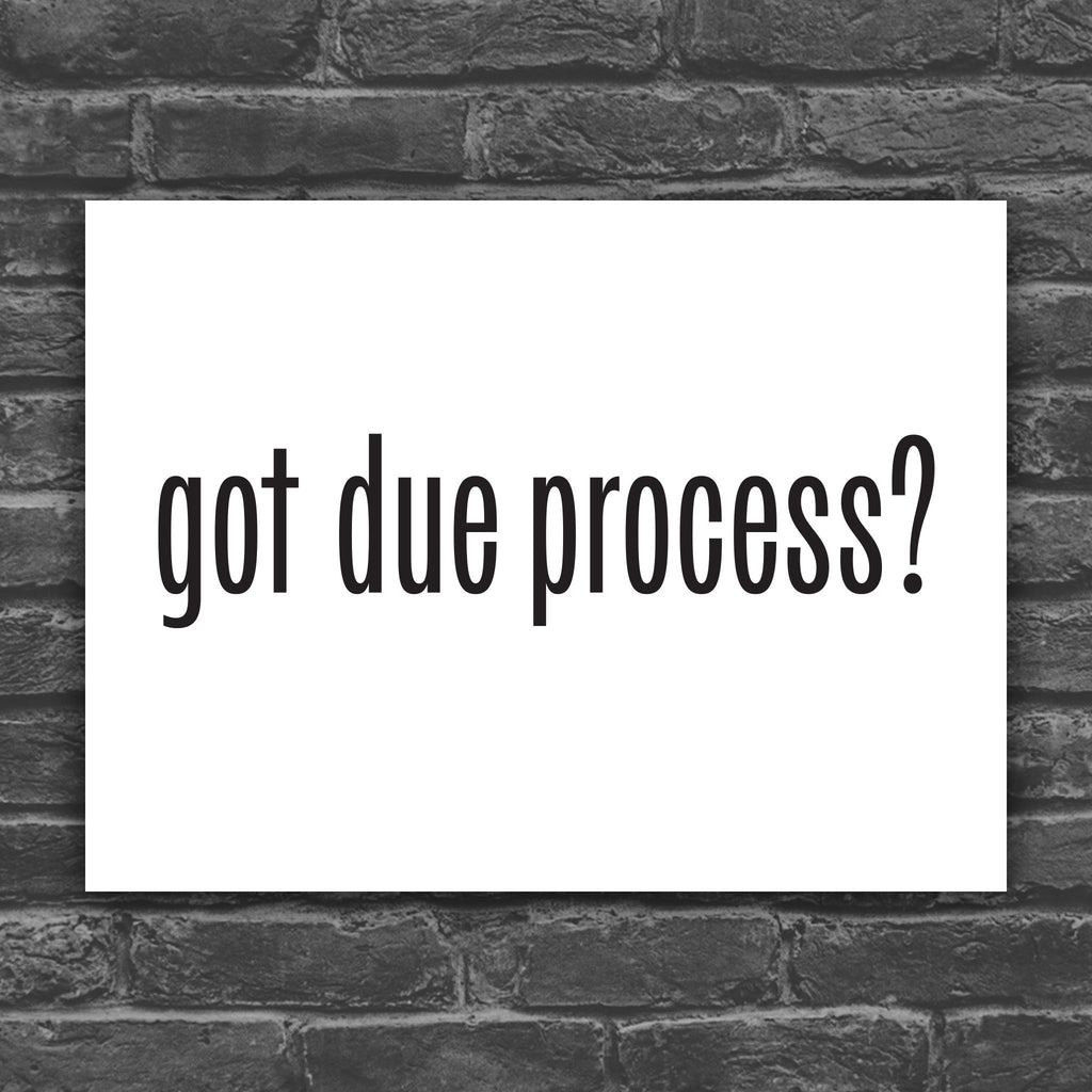 Version of protest sign with white background and bold black text that says “got due process?” in the style of the “got milk?” campaign.