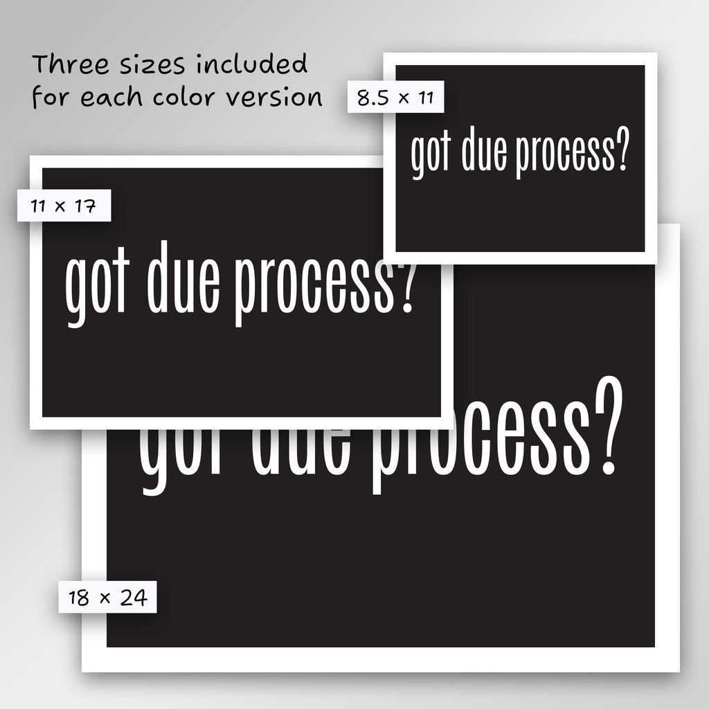 Got Due Process? protest sign