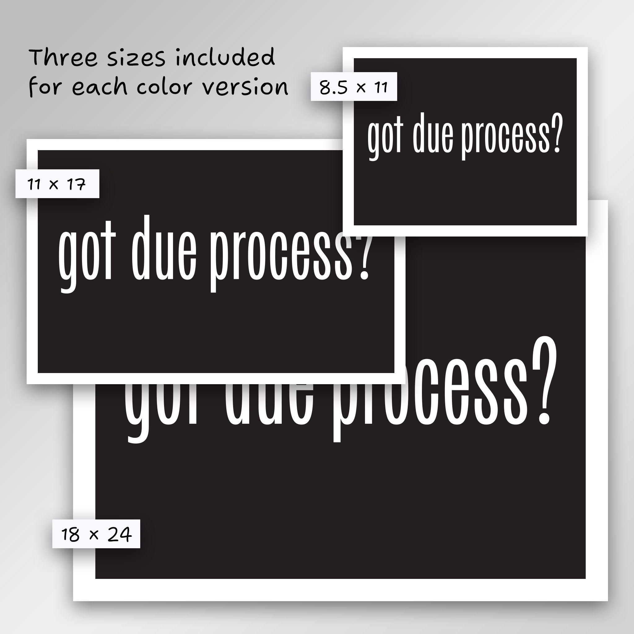 Got Due Process? protest sign