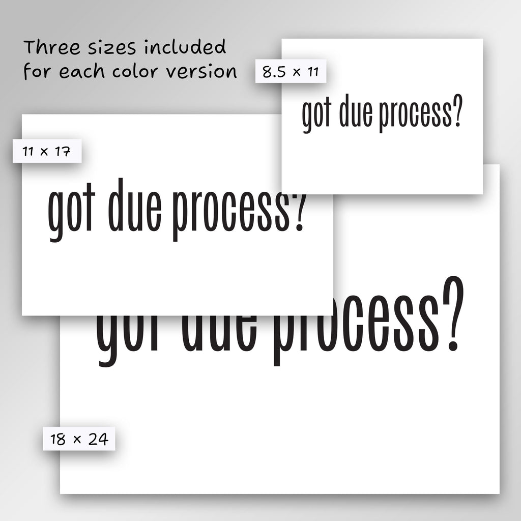 Got Due Process? protest sign