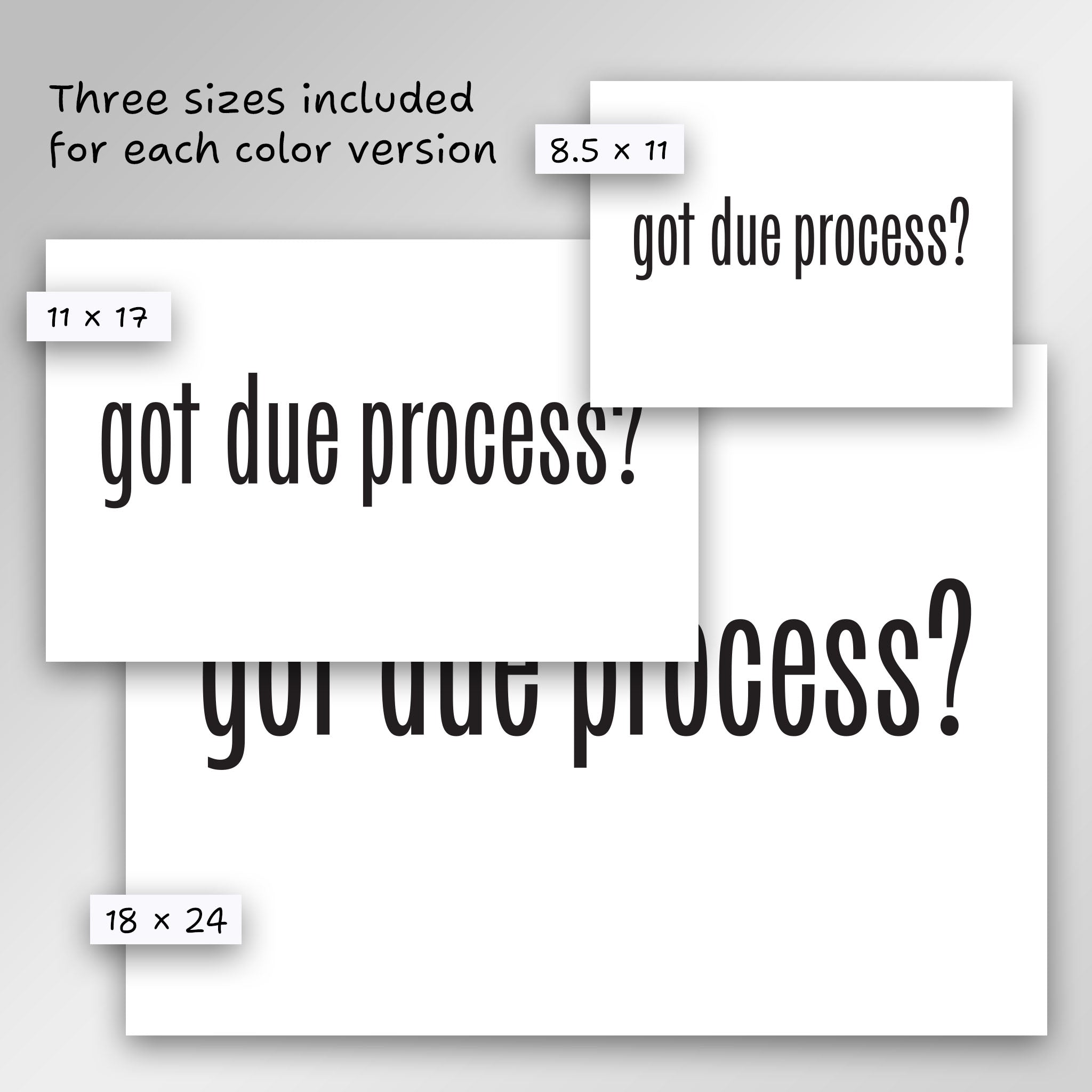 Got Due Process? protest sign