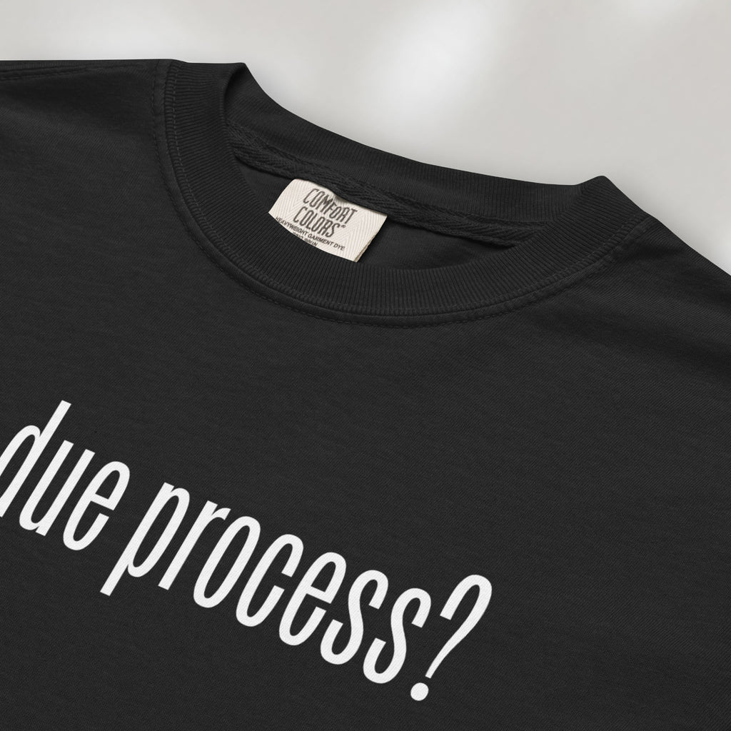 Closeup of black t-shirt with white text reading “got due process?” in a minimalist font, inspired by the classic “got milk?” design.