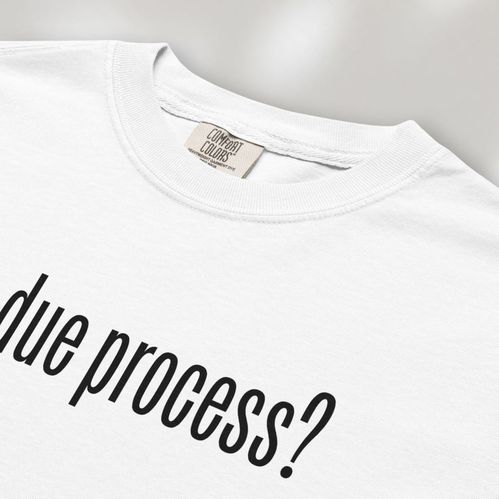 Closeup of white t-shirt with black text reading “got due process?” in a minimalist font, inspired by the classic “got milk?” design.