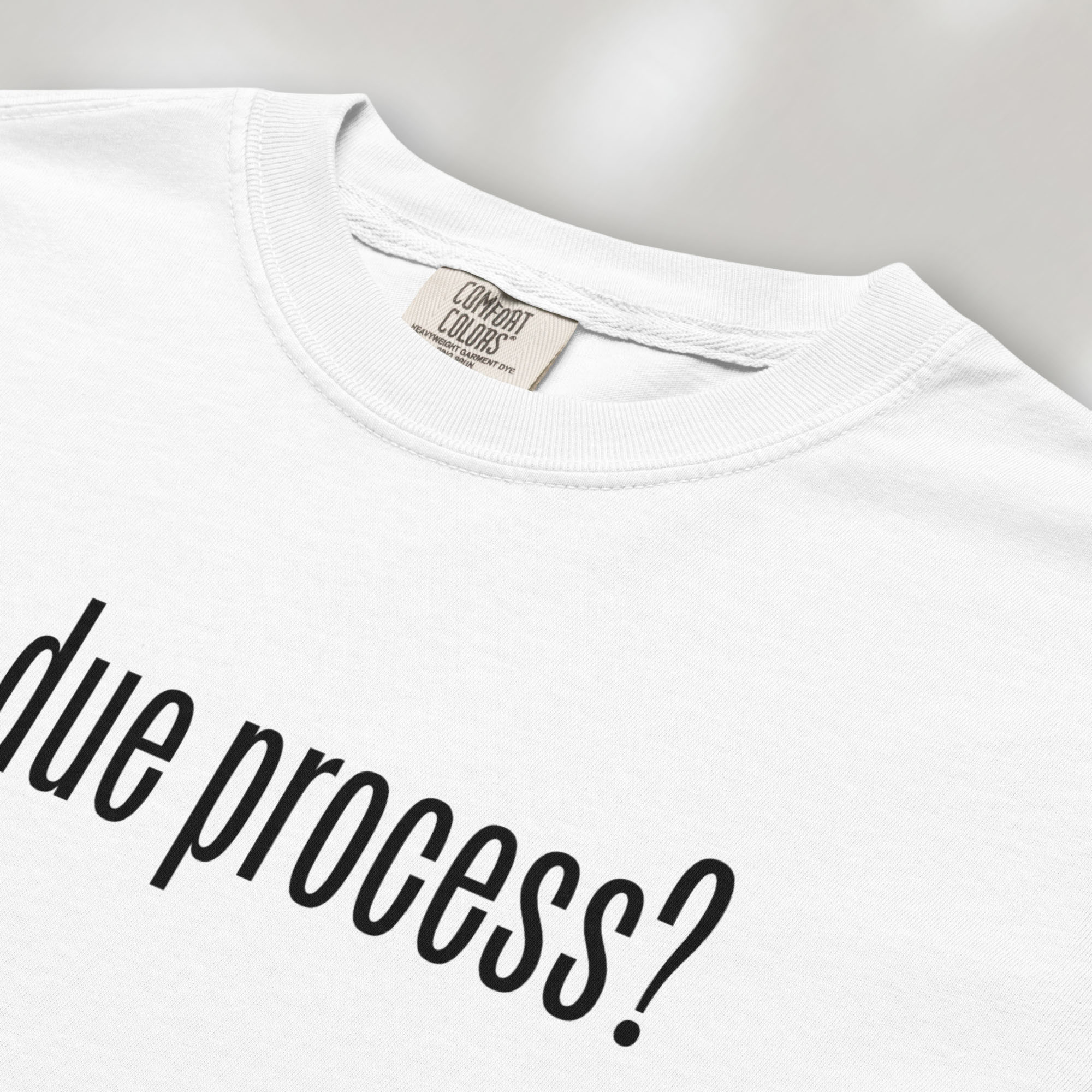 Closeup of white t-shirt with black text reading “got due process?” in a minimalist font, inspired by the classic “got milk?” design.
