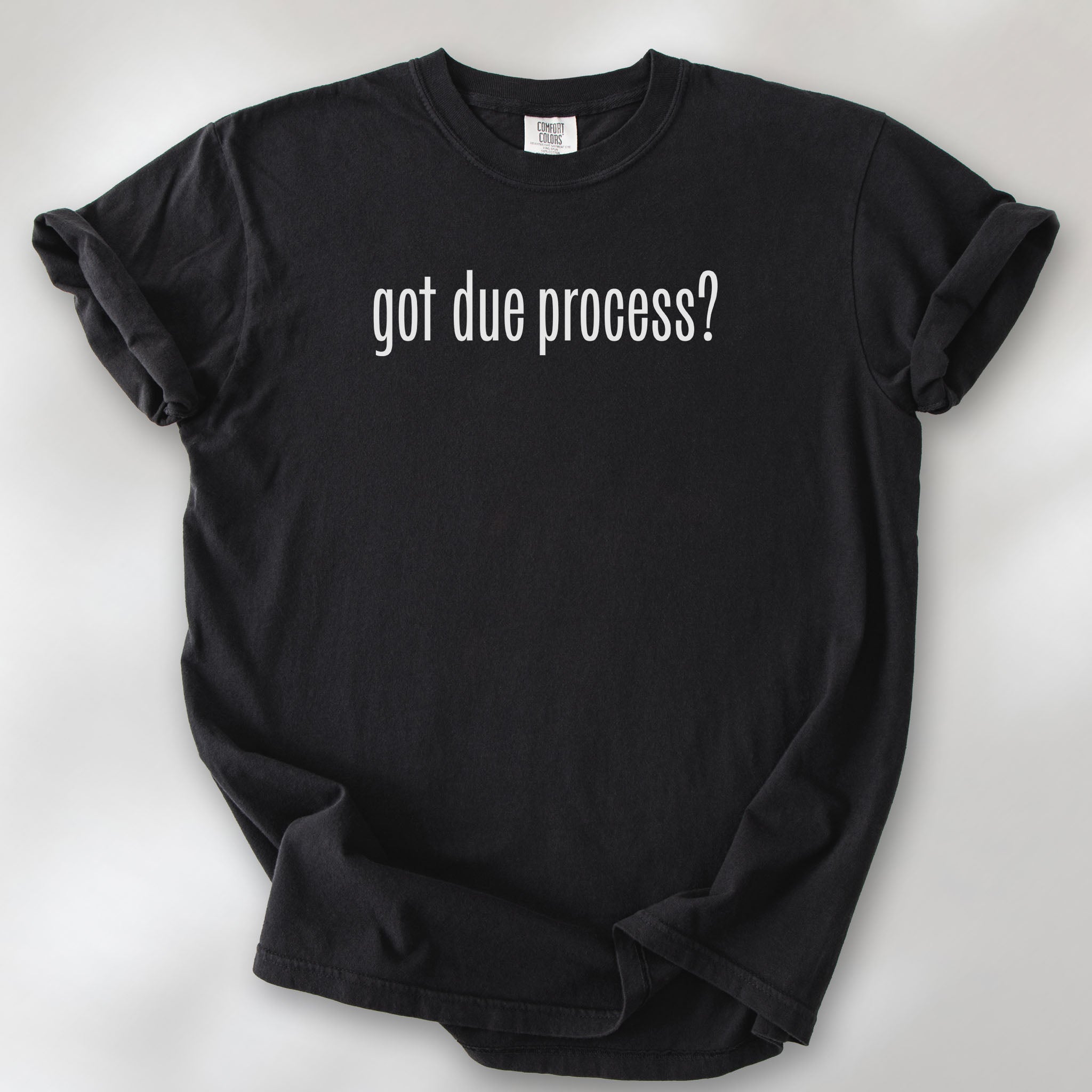 Black t-shirt with white text reading “got due process?” in a minimalist font, inspired by the classic “got milk?” design.