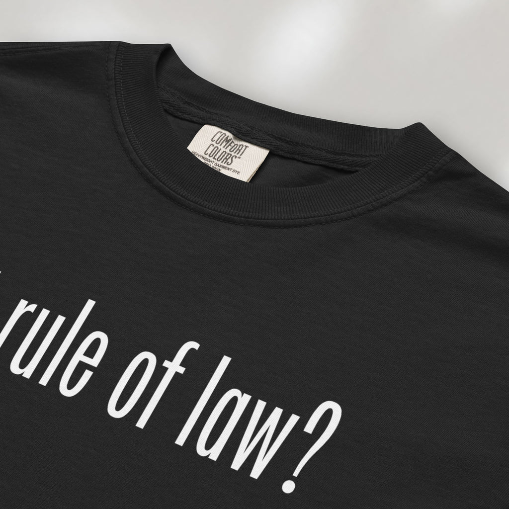 Closeup of black t-shirt with white text reading “got rule of law?” in minimalist font, styled like the classic “got milk?” design.