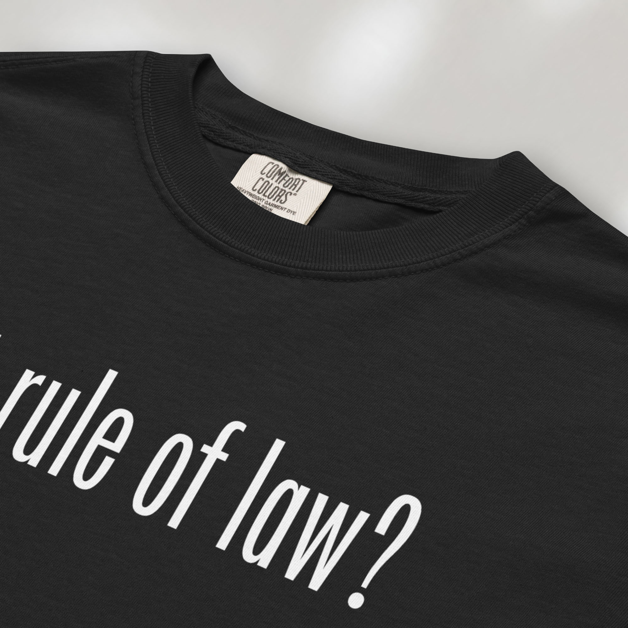 Closeup of black t-shirt with white text reading “got rule of law?” in minimalist font, styled like the classic “got milk?” design.