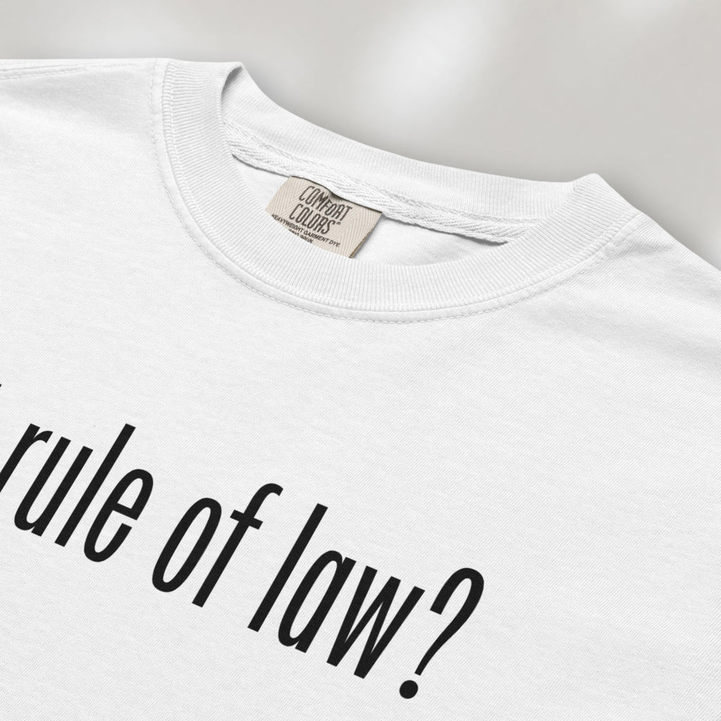 Closeup of white t-shirt with black text reading “got rule of law?” in minimalist font, styled like the classic “got milk?” design.