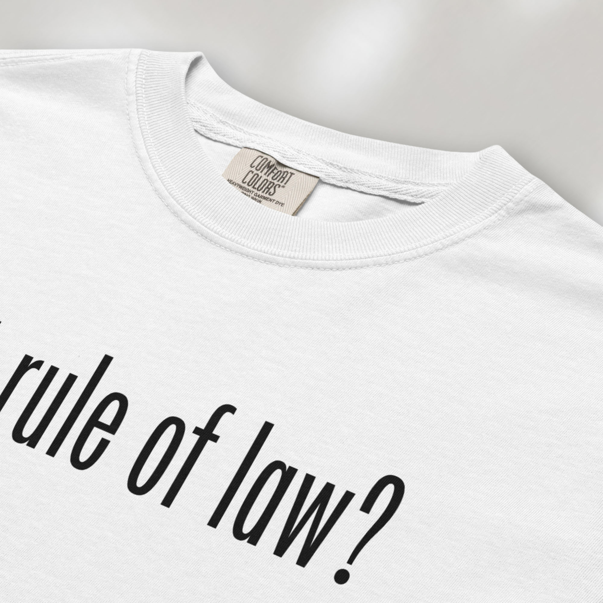 Closeup of white t-shirt with black text reading “got rule of law?” in minimalist font, styled like the classic “got milk?” design.