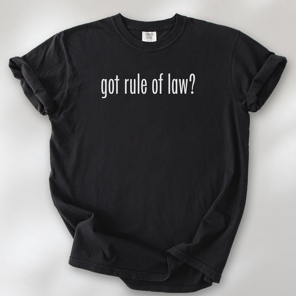Black t-shirt with white text reading “got rule of law?” in minimalist font, styled like the classic “got milk?” design.