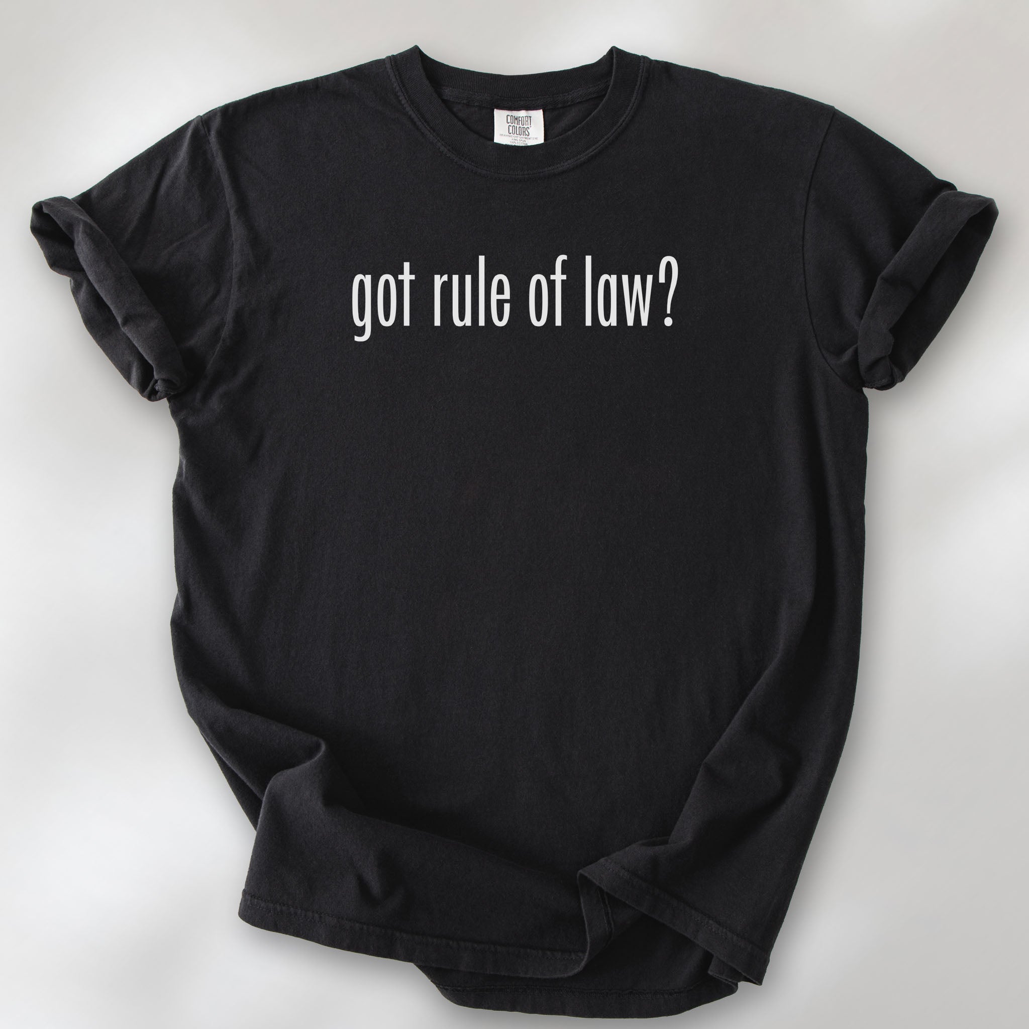 Black t-shirt with white text reading “got rule of law?” in minimalist font, styled like the classic “got milk?” design.