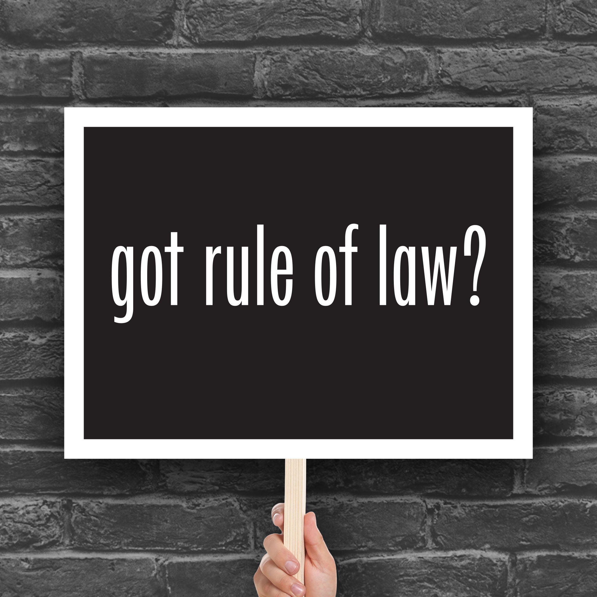 Got Rule of Law? protest sign