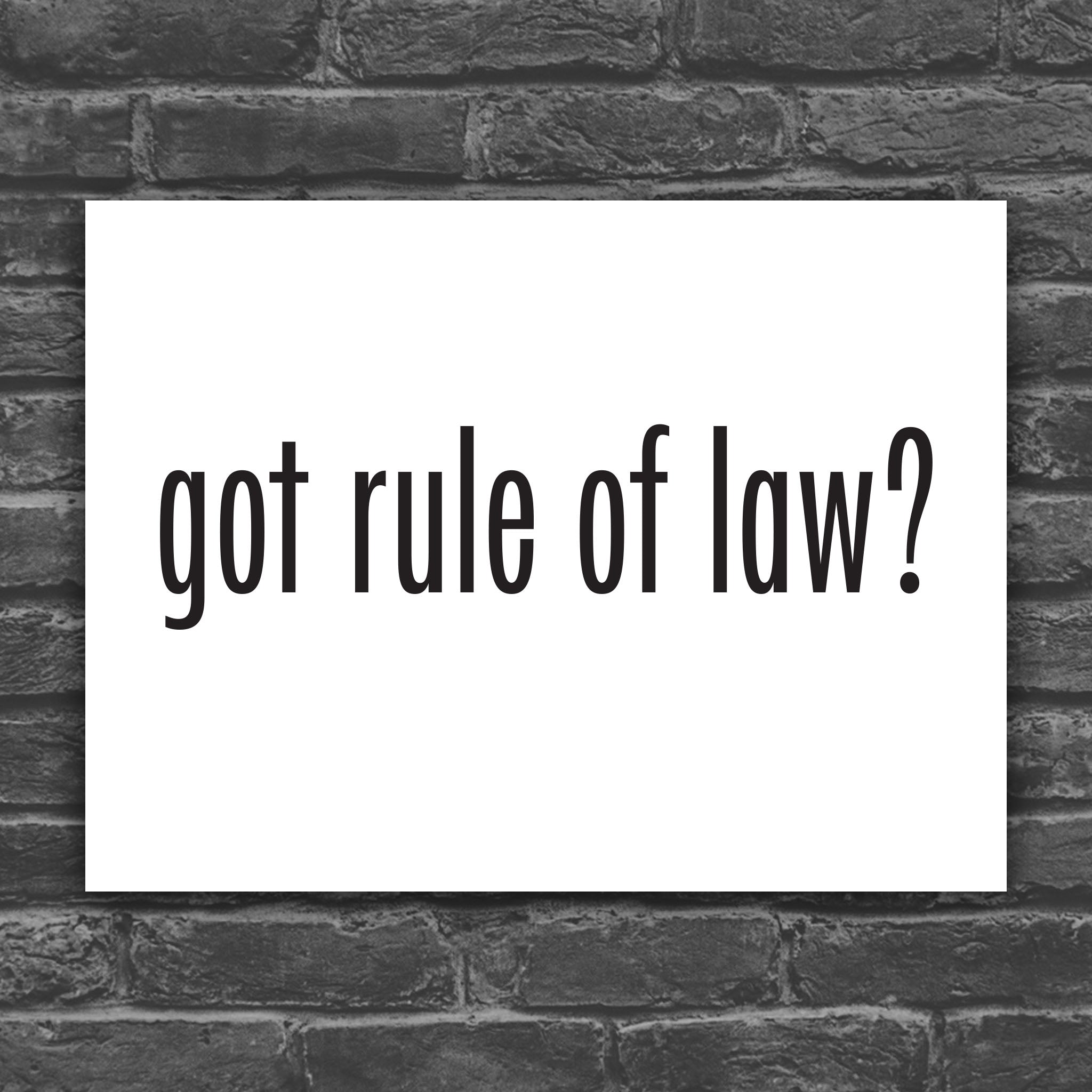 Version of protest sign with white background and bold black text that says “got rule of law?” in the style of the “got milk?” campaign.