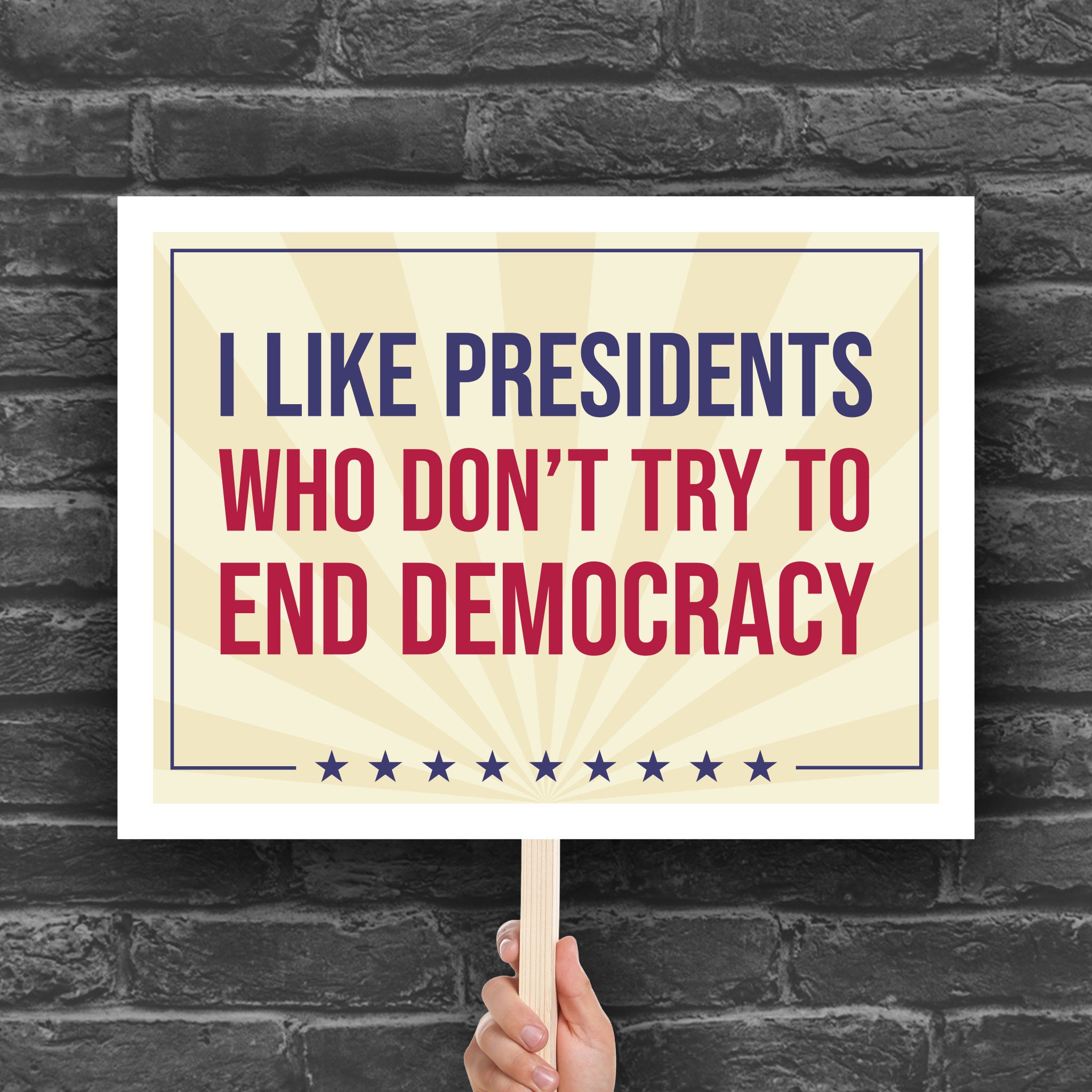 I Like Presidents Who Don't Try To End Democracy protest sign