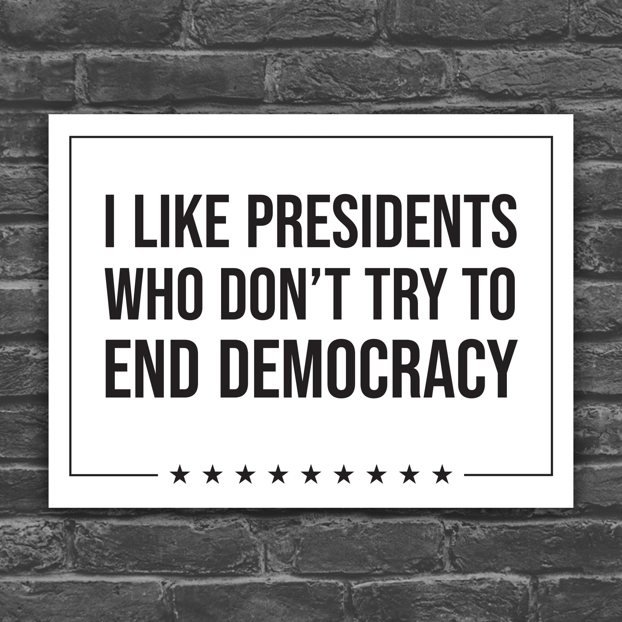 I Like Presidents Who Don't Try To End Democracy protest sign