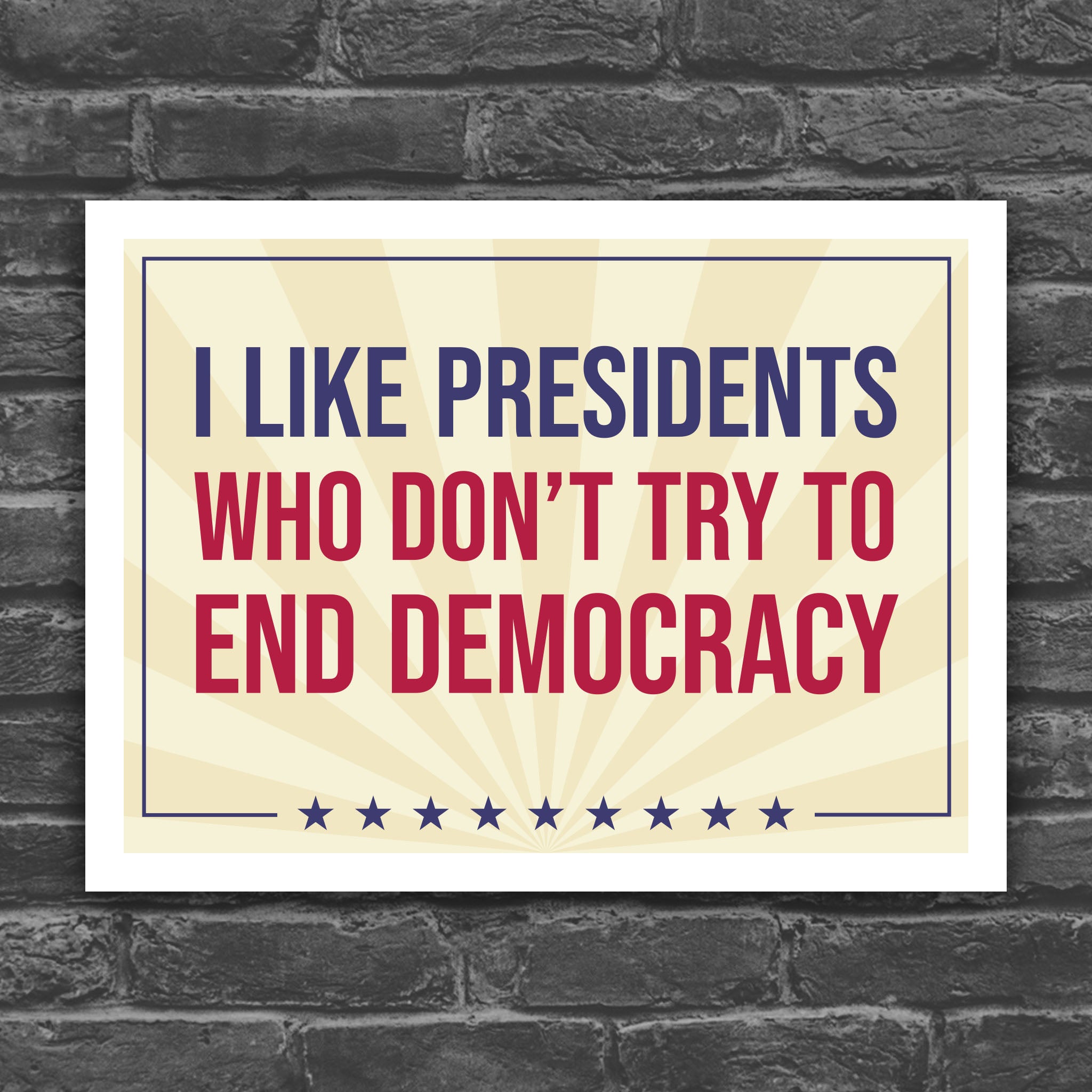 I Like Presidents Who Don't Try To End Democracy protest sign