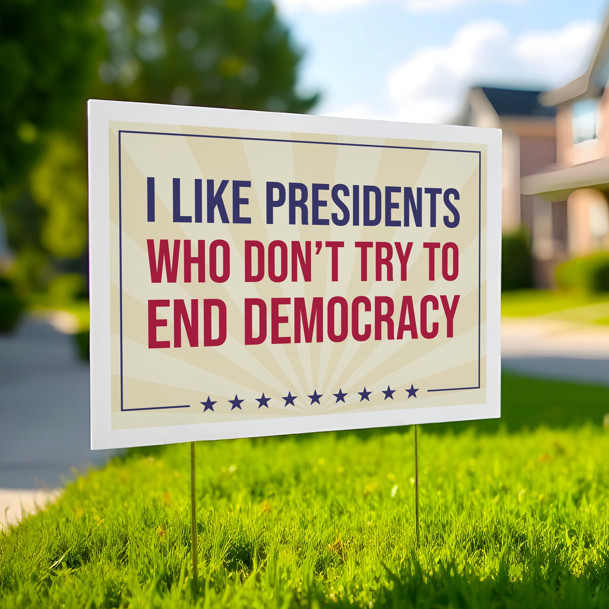 I Like Presidents Who Don't Try To End Democracy protest sign
