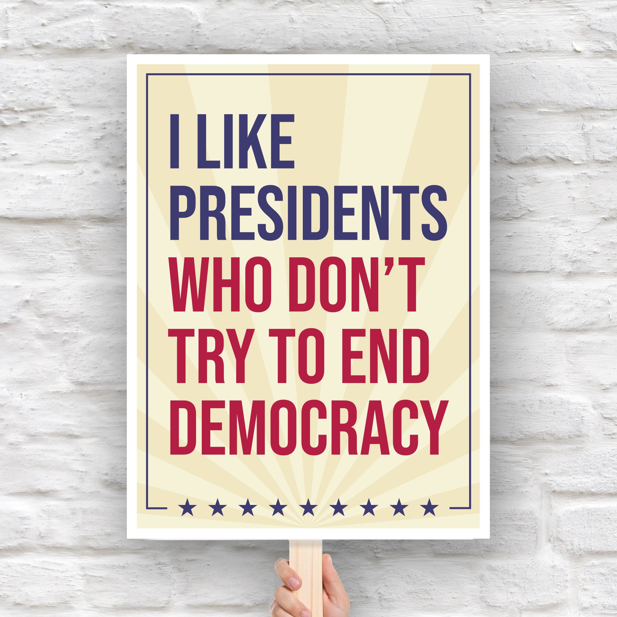 I Like Presidents Who Don't Try To End Democracy protest sign