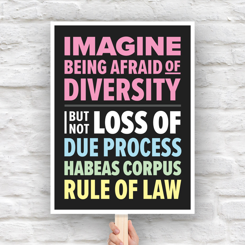 Protest sign with colorful bold text that reads "Imagine being afraid of diversity but not loss of due, process, habeas corpus, rule of law."