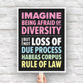 Protest sign with colorful bold text that reads "Imagine being afraid of diversity but not loss of due, process, habeas corpus, rule of law."