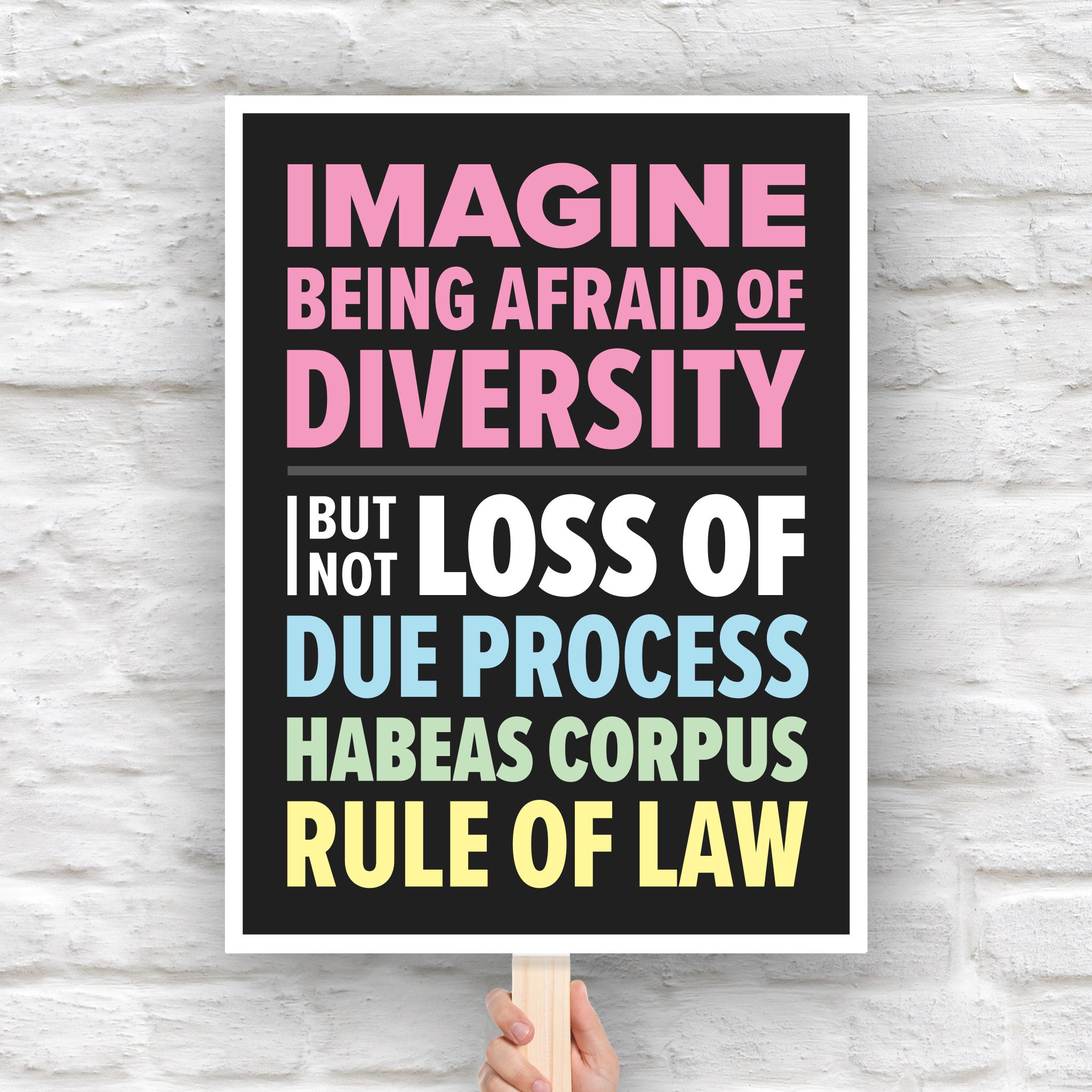 Protest sign with colorful bold text that reads "Imagine being afraid of diversity but not loss of due, process, habeas corpus, rule of law."