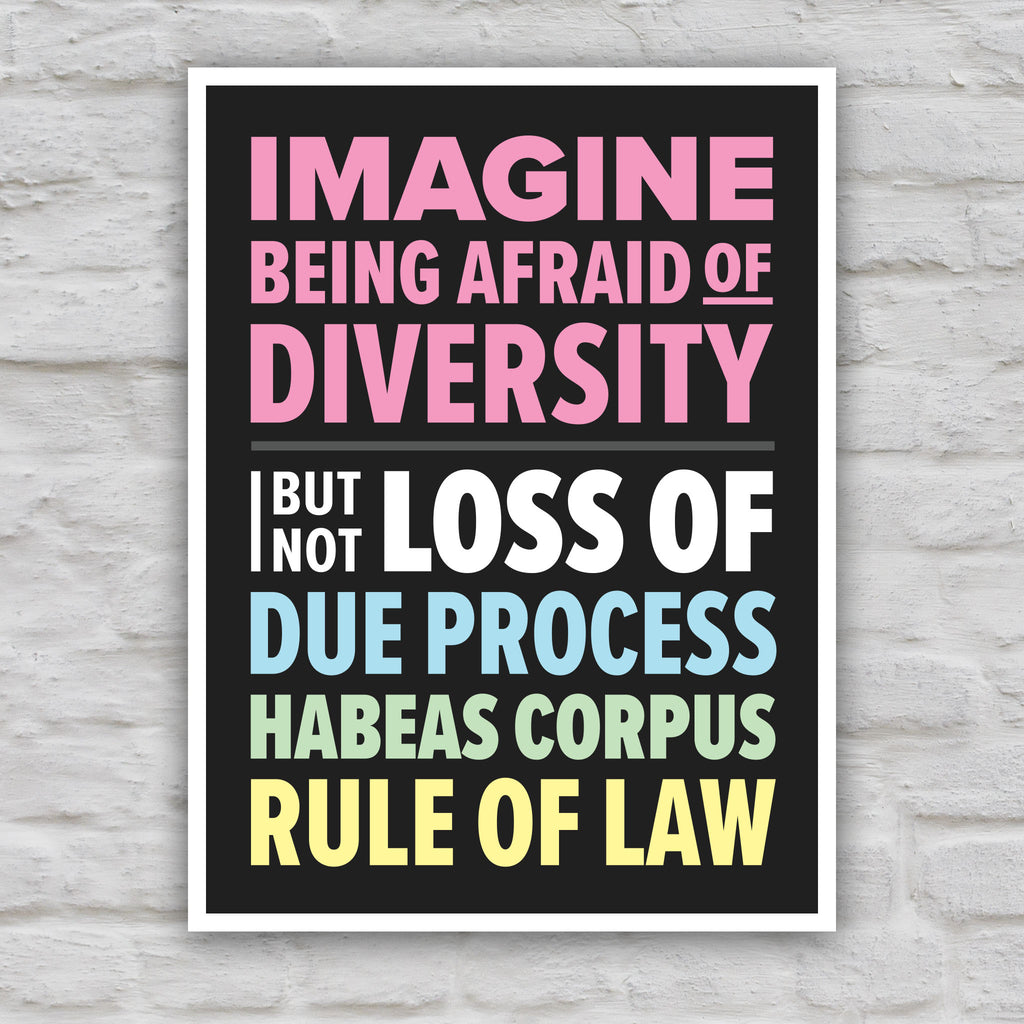 Color version of protest sign with colorful bold text that reads "Imagine being afraid of diversity but not loss of due, process, habeas corpus, rule of law."