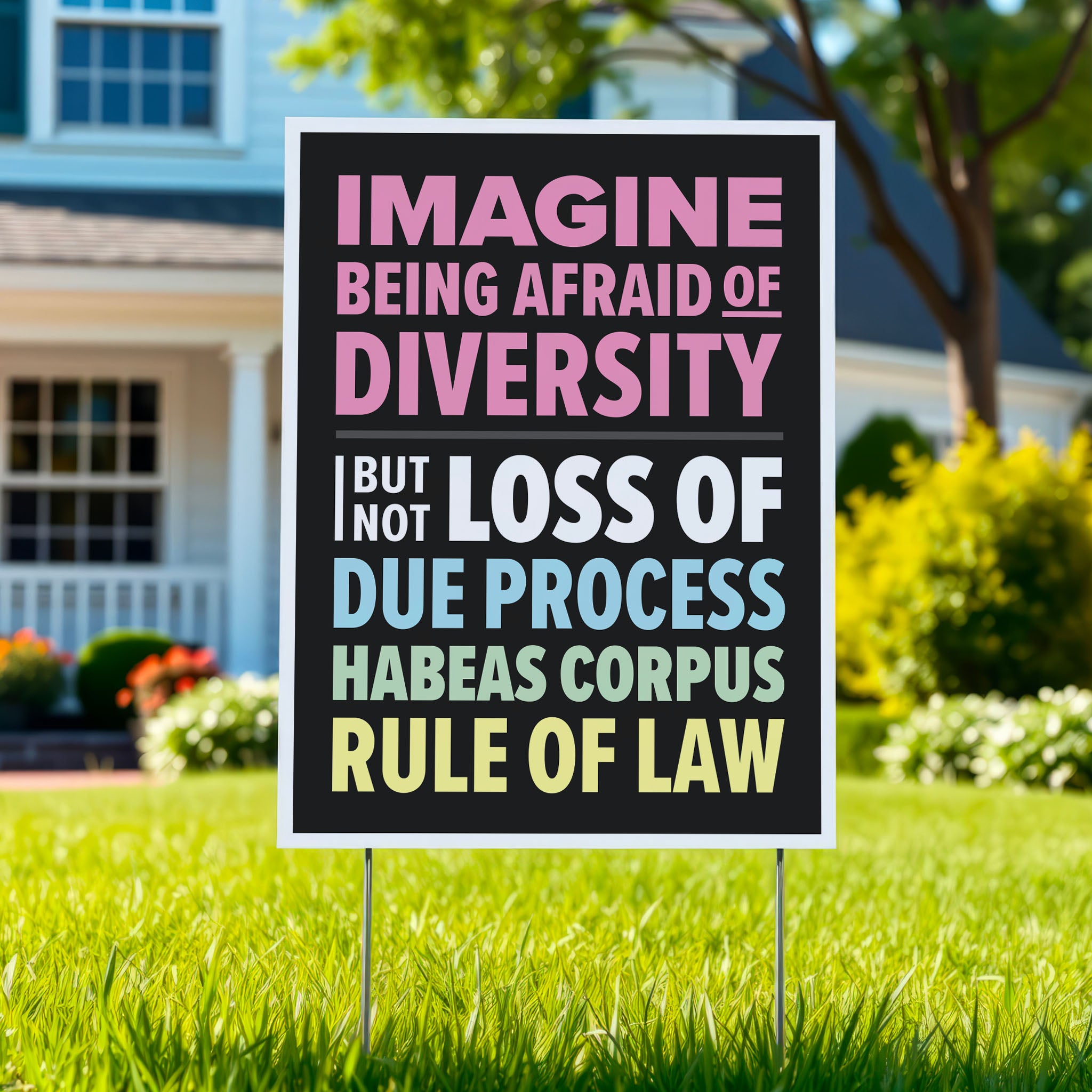 Yard sign with colorful bold text that reads "Imagine being afraid of diversity but not loss of due, process, habeas corpus, rule of law."