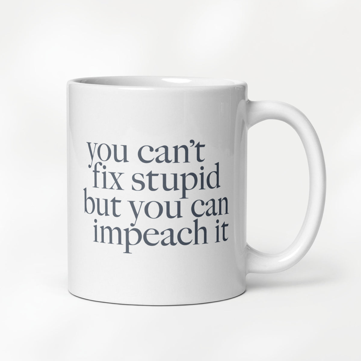 You Can't Fix Stupid But You Can Impeach It mug