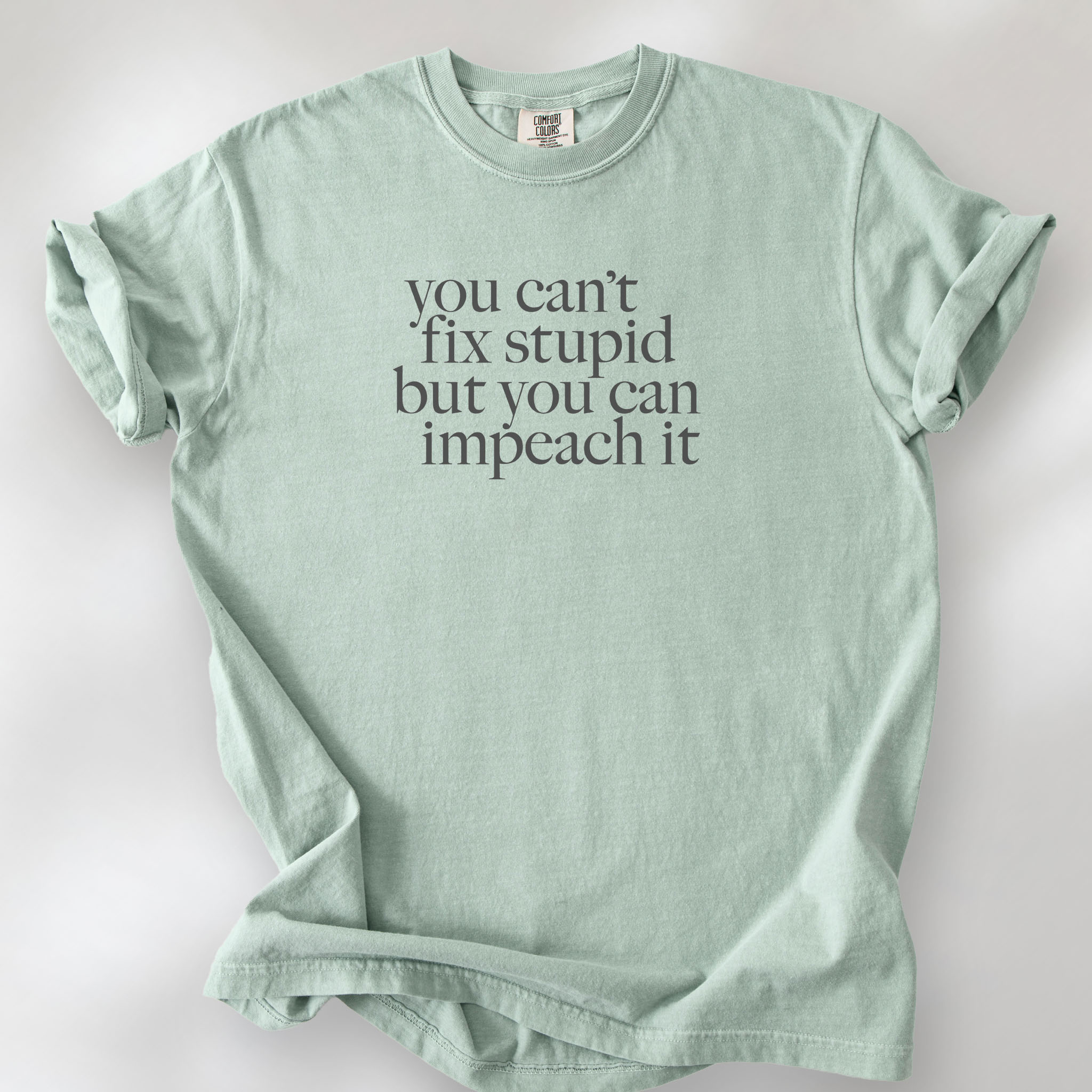 Bay political t-shirt with bold gray text reading “You can’t fix stupid but you can impeach it,” minimalist anti-Trump protest design.