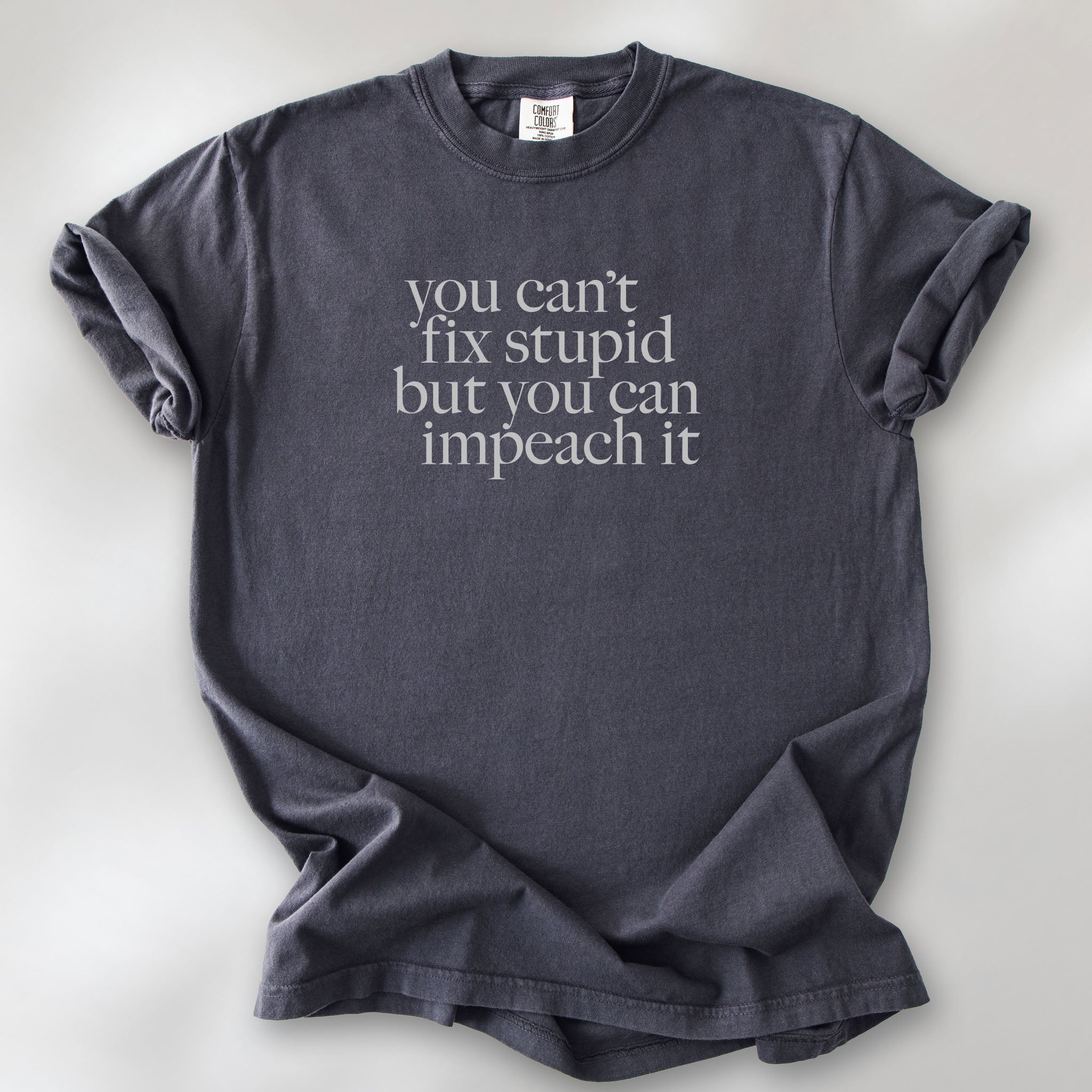Graphite political t-shirt with light grey serif text reading “You can’t fix stupid but you can impeach it,” minimalist anti-Trump protest design.