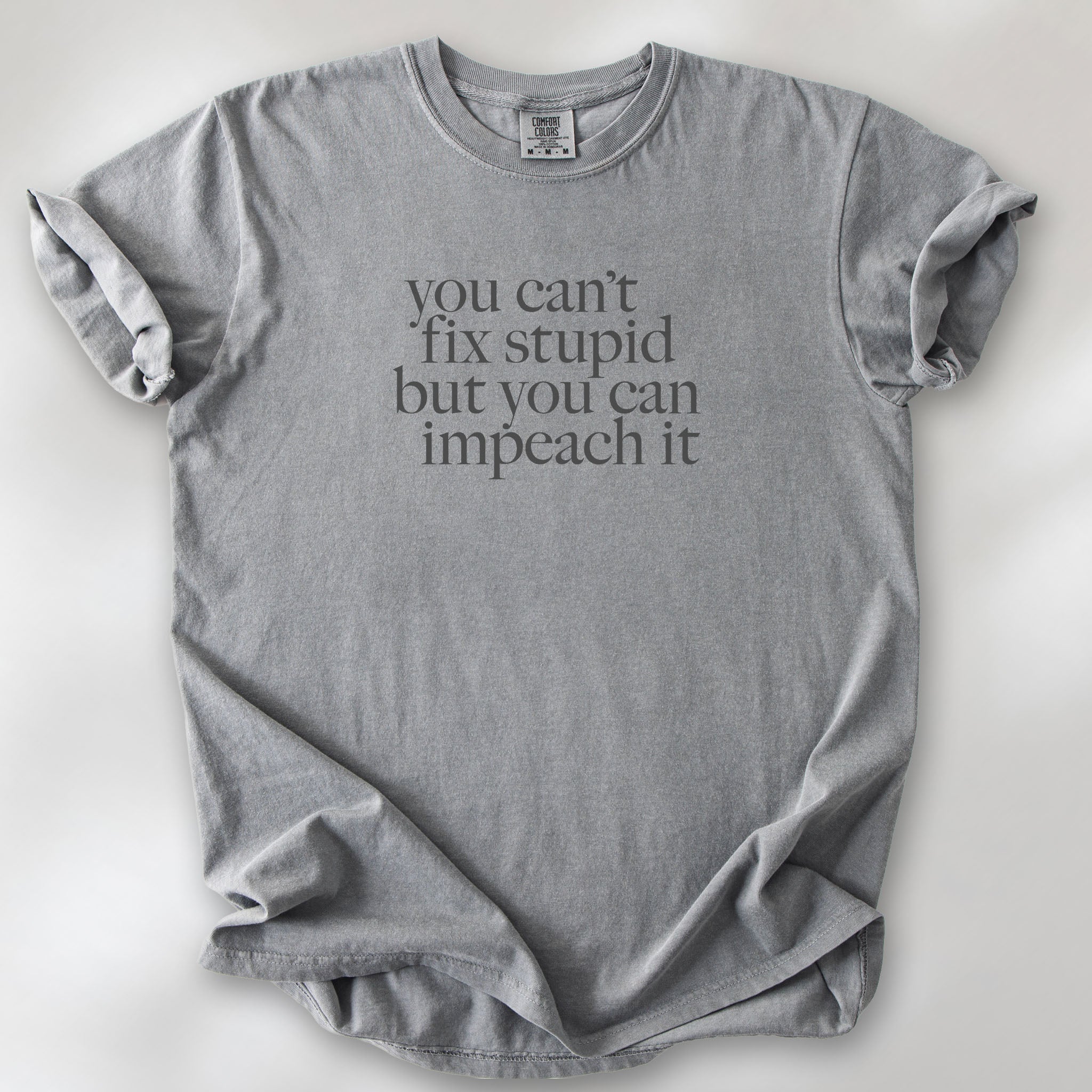 Grey political t-shirt with bold gray text reading “You can’t fix stupid but you can impeach it,” minimalist anti-Trump protest design.