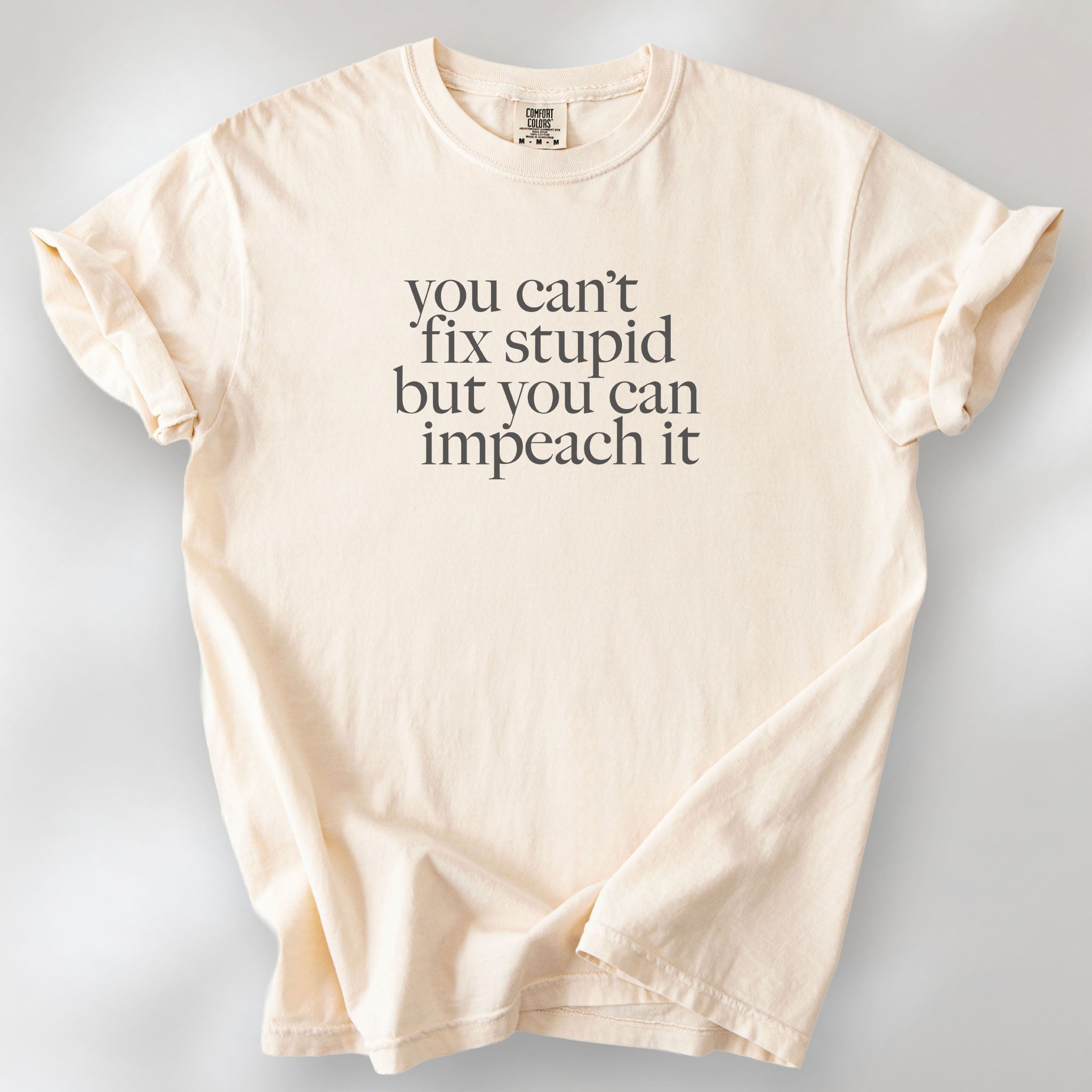 Ivory political t-shirt with bold gray text reading “You can’t fix stupid but you can impeach it,” minimalist anti-Trump protest design.