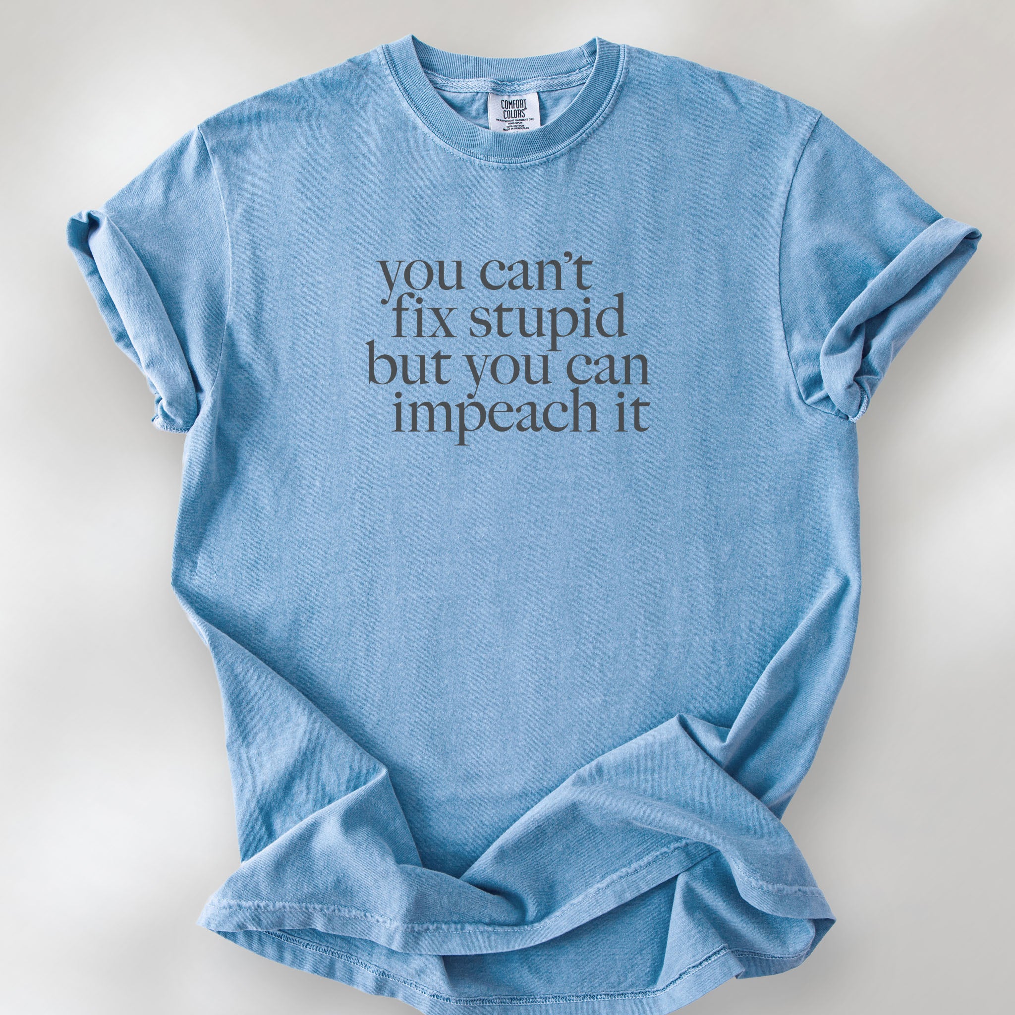 Washed denim political t-shirt with bold gray text reading “You can’t fix stupid but you can impeach it,” minimalist anti-Trump protest design.