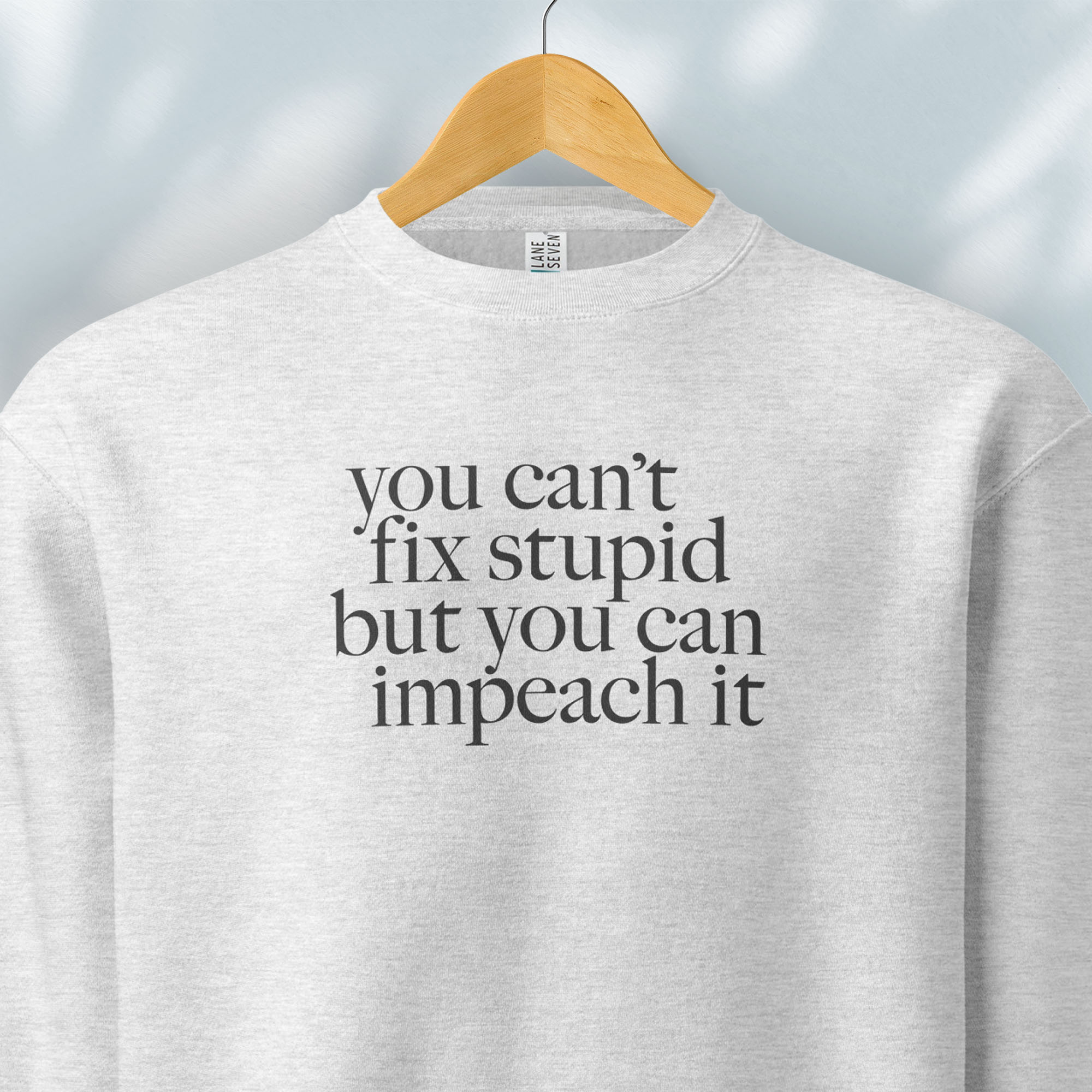 Hanging grey political sweatshirt shirt with styled serif text block reading “You can’t fix stupid but you can impeach it,” minimalist anti-Trump protest design.