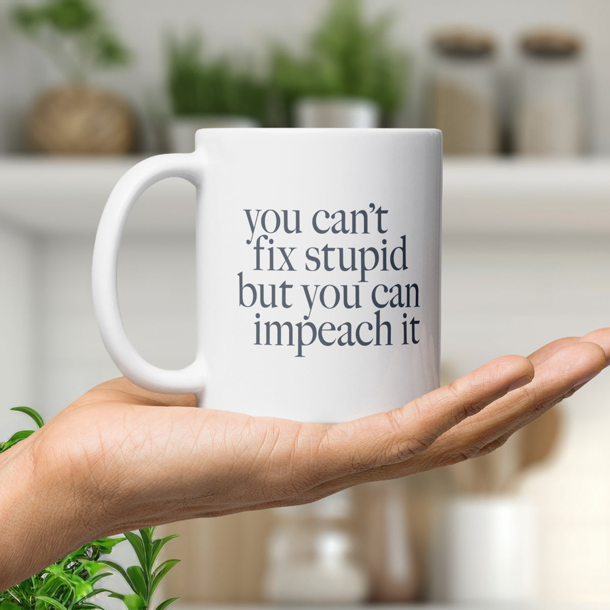 You Can't Fix Stupid But You Can Impeach It mug