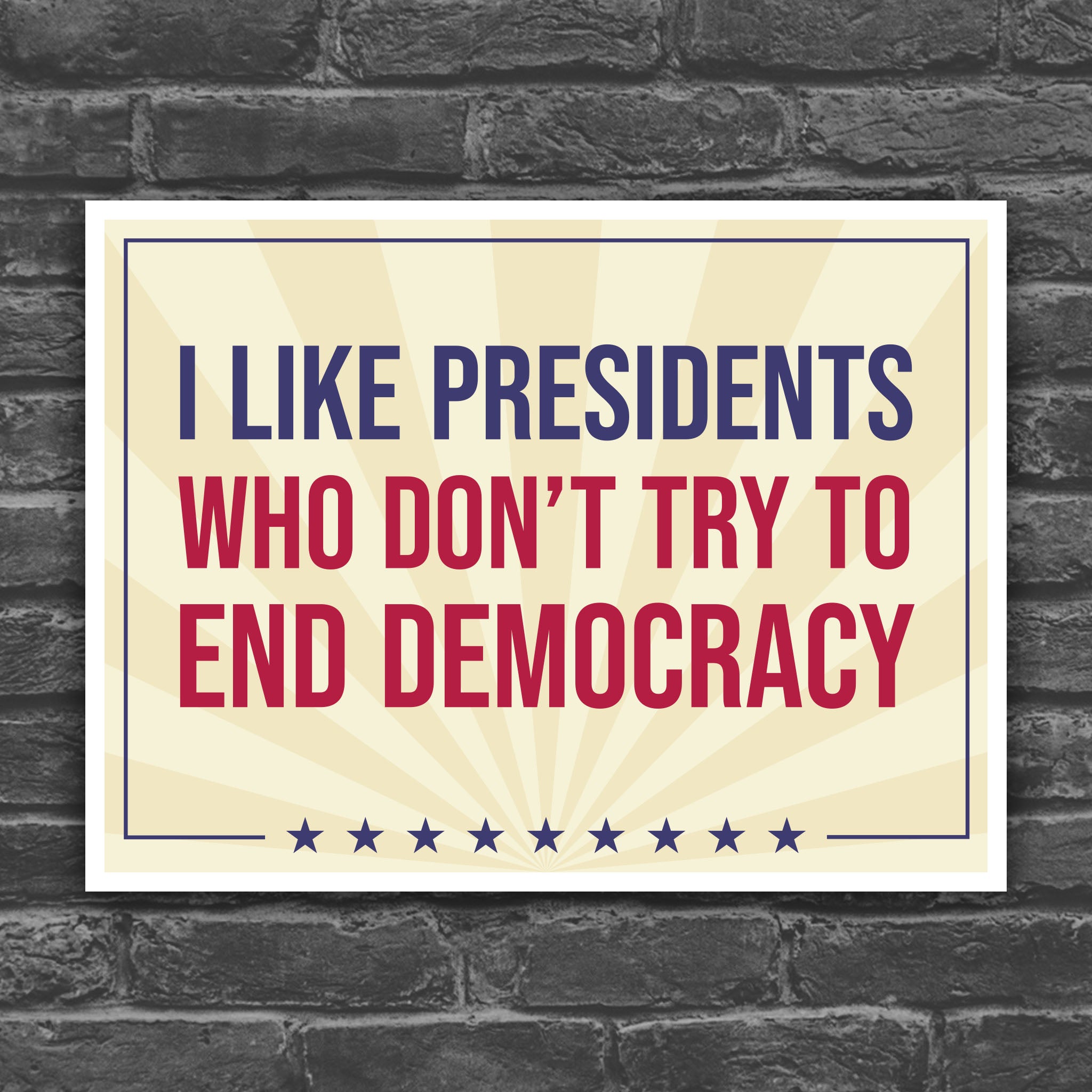 Color version of protest sign with text that reads "I like presidents who don't try to end democracy."