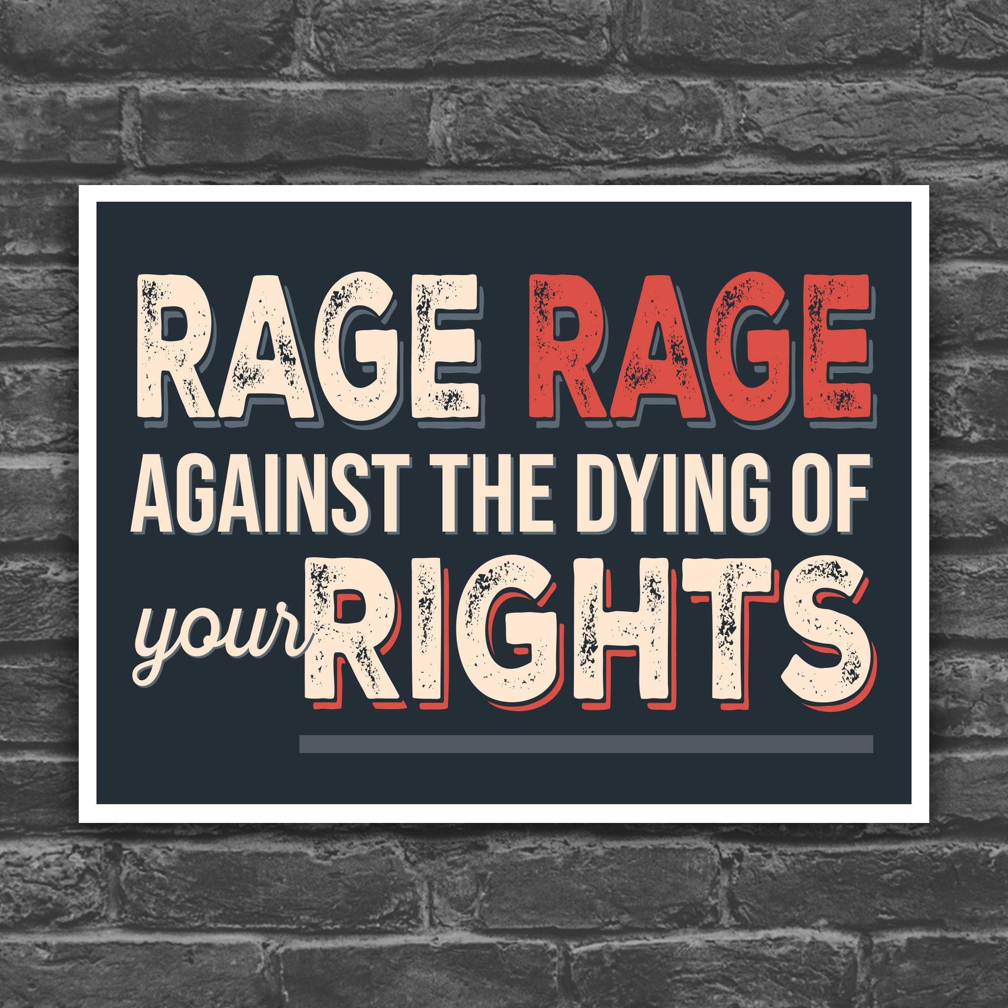 Color version of protest sign with text that reads "Rage rage against the dying of your rights," a political twist to the line from a Dylan Thomas poem.