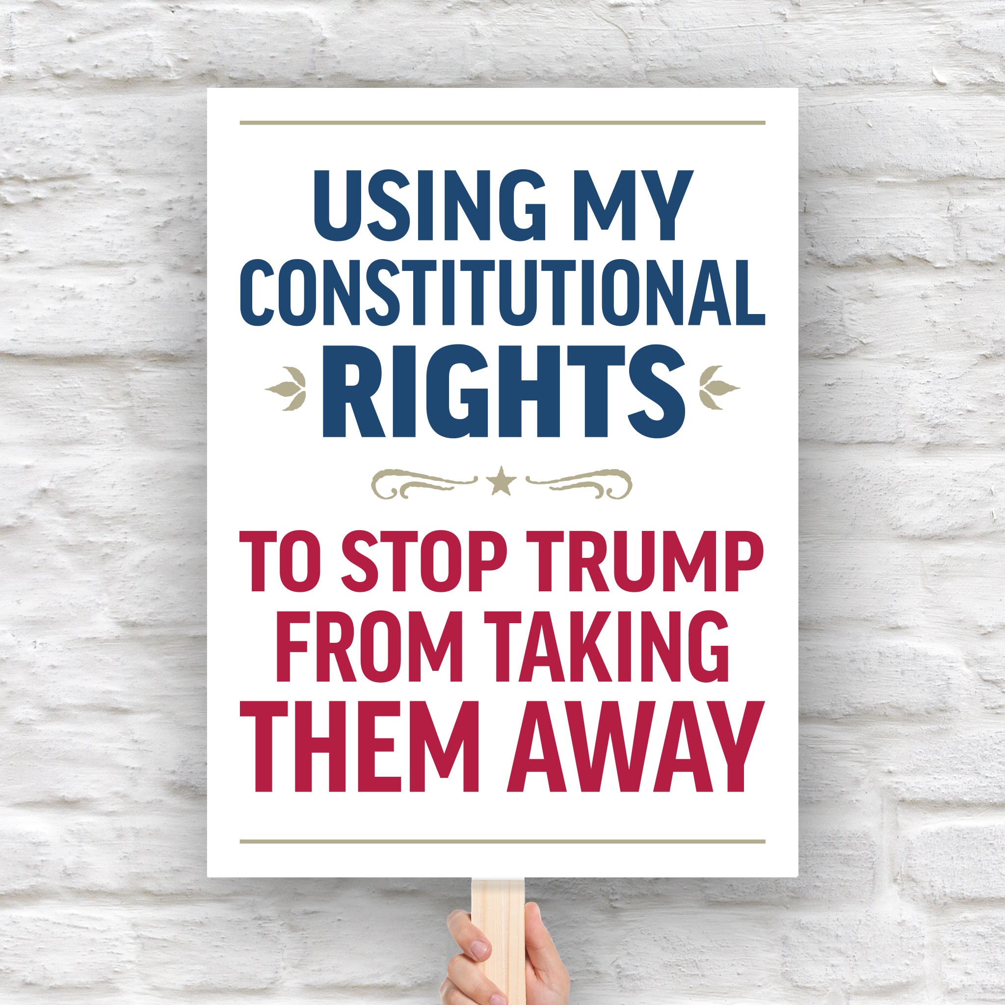Protest sign with bold uppercase text in patriotic red and blue that reads "Using my constitutional rights to stop Trump from taking them away."